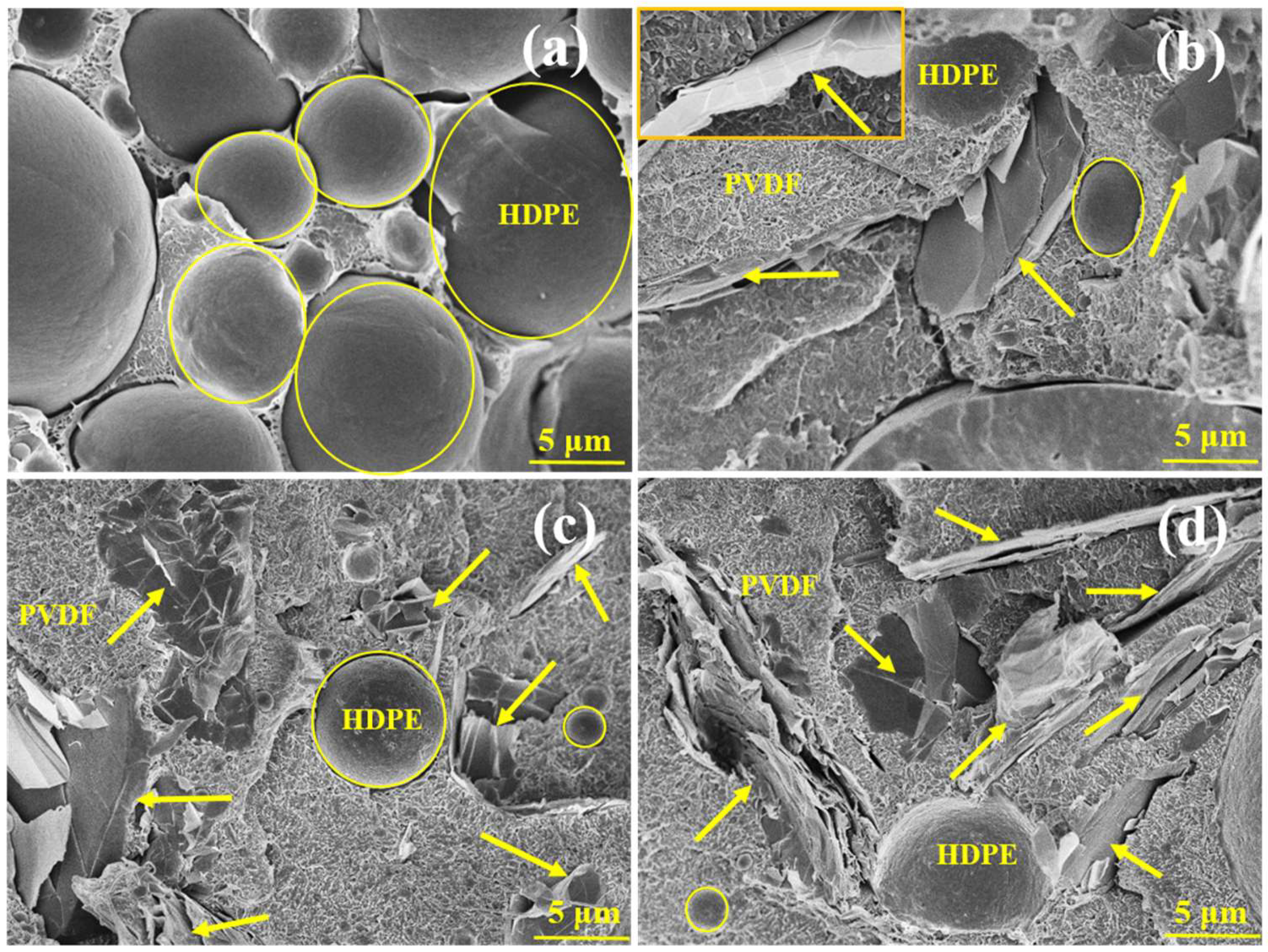 Nanomaterials 09 00361 g001