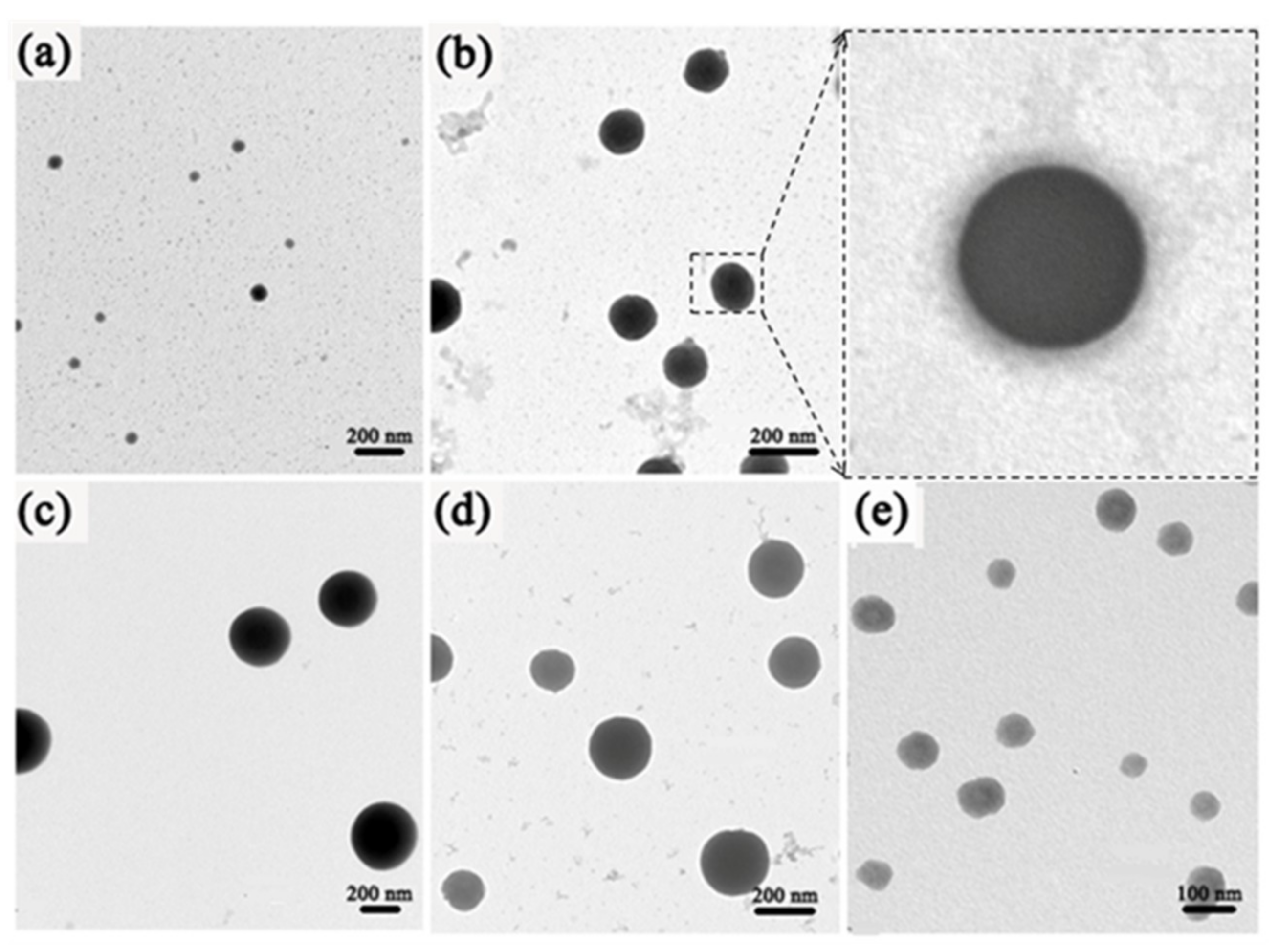 Nanomaterials 09 00363 g005