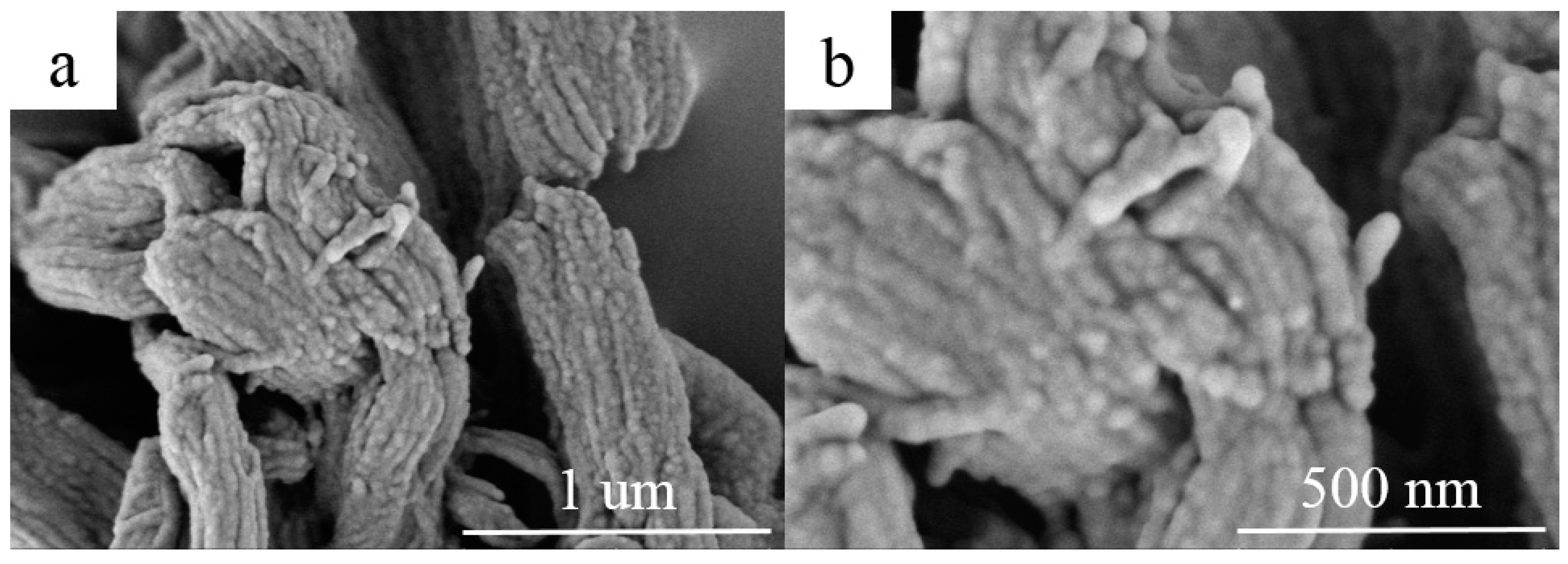 Nanomaterials 09 00364 g005 Nanomaterials 09 00364 g005