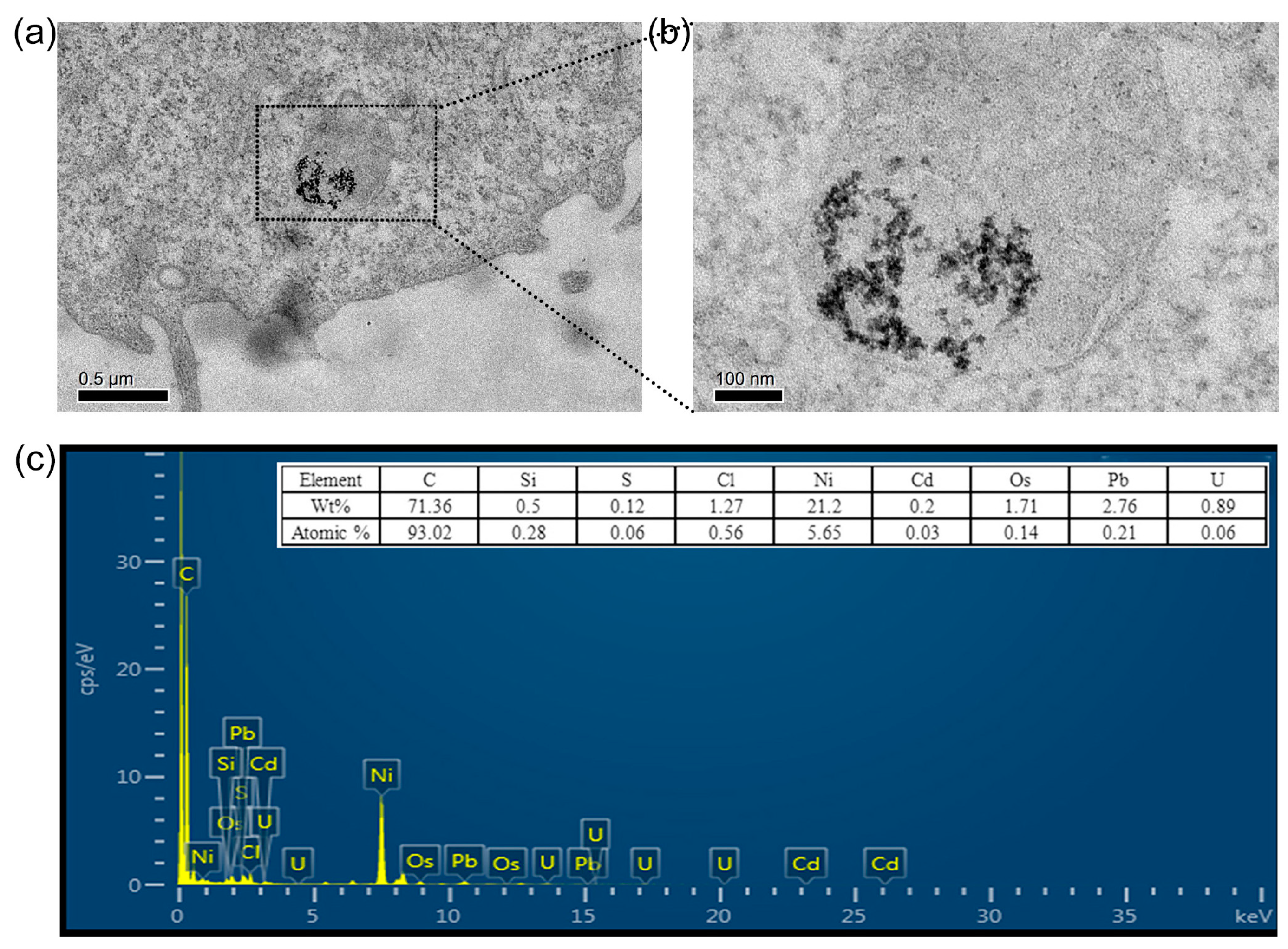 Nanomaterials 09 00369 g006