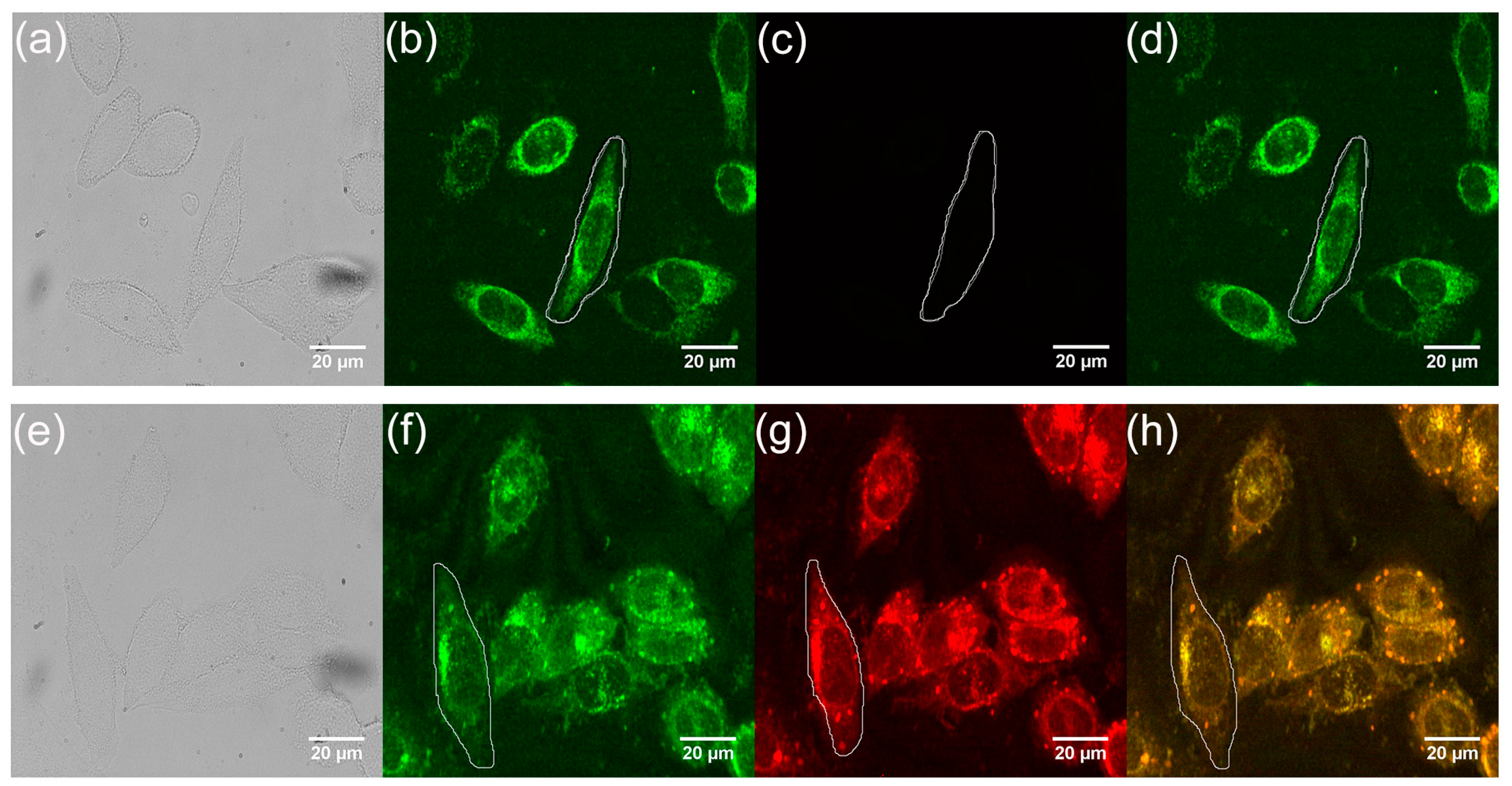 Nanomaterials 09 00369 g007