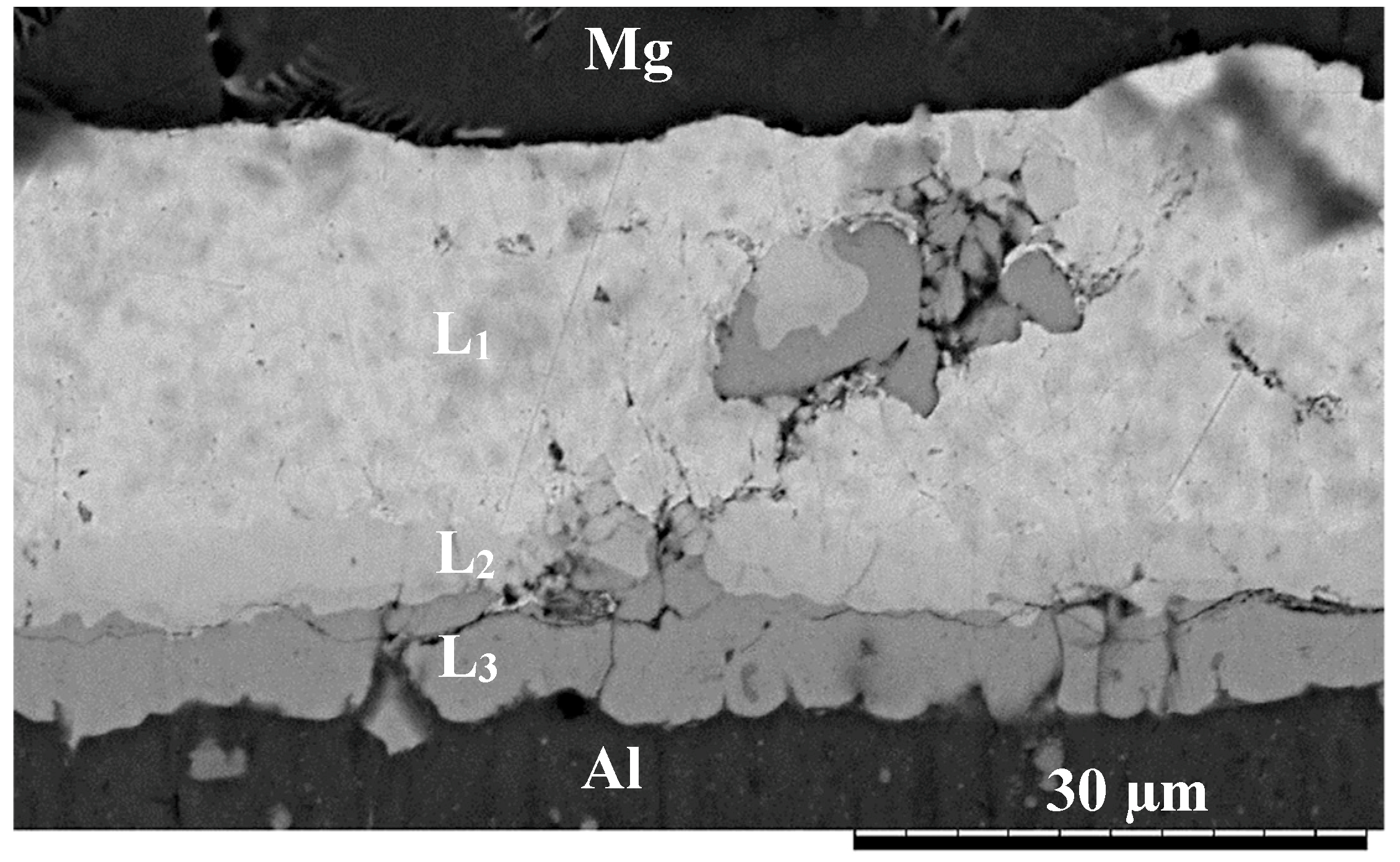 Nanomaterials 09 00370 g002