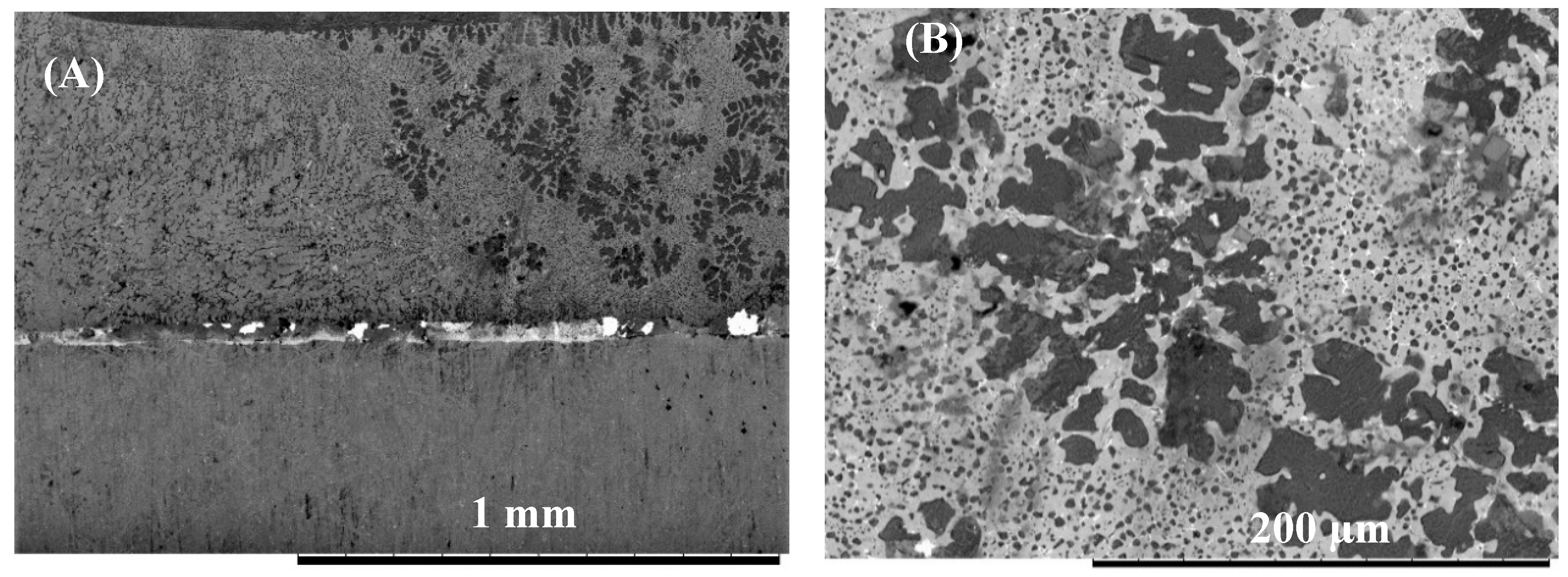 Nanomaterials 09 00370 g010