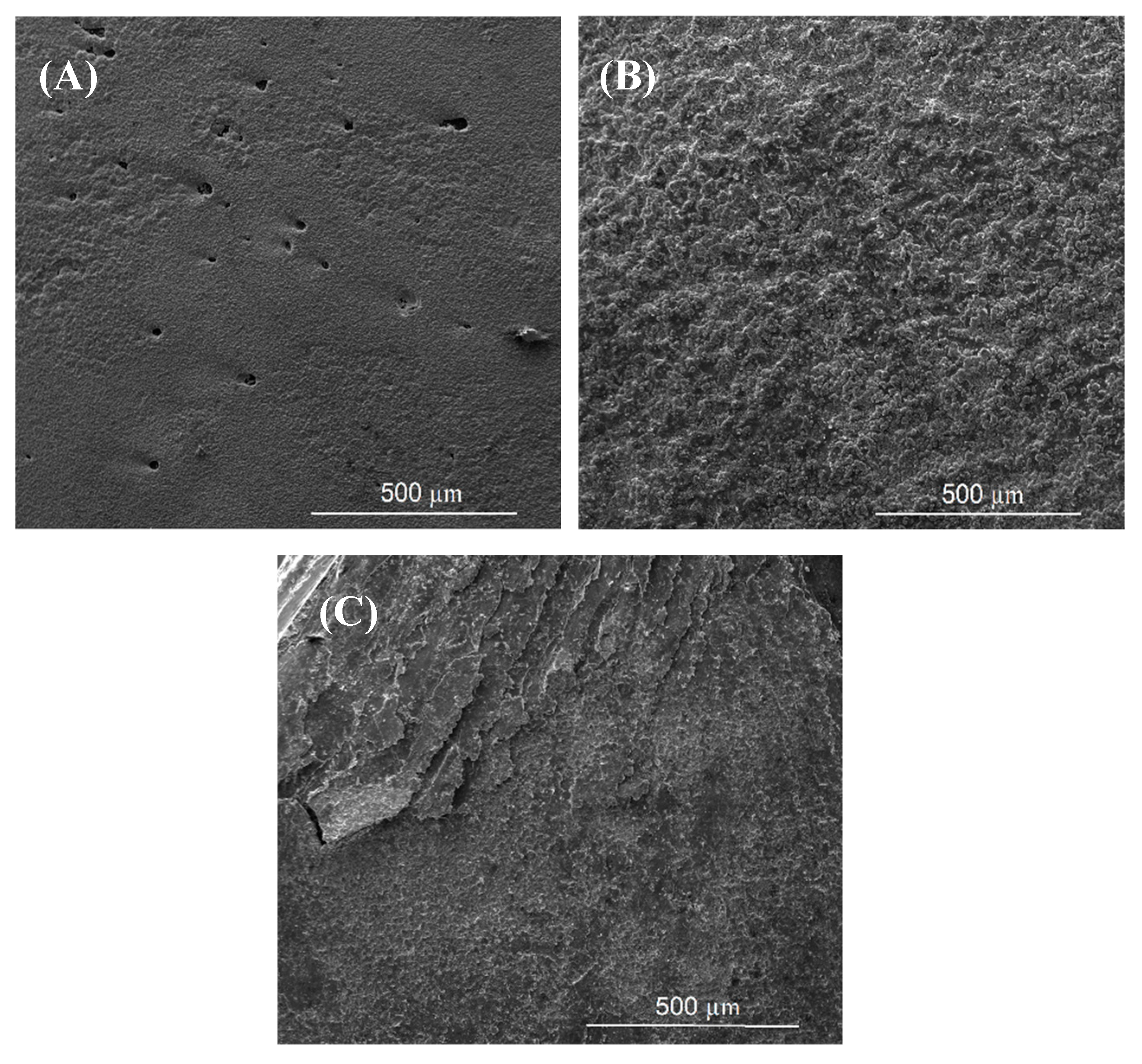 Nanomaterials 09 00370 g017