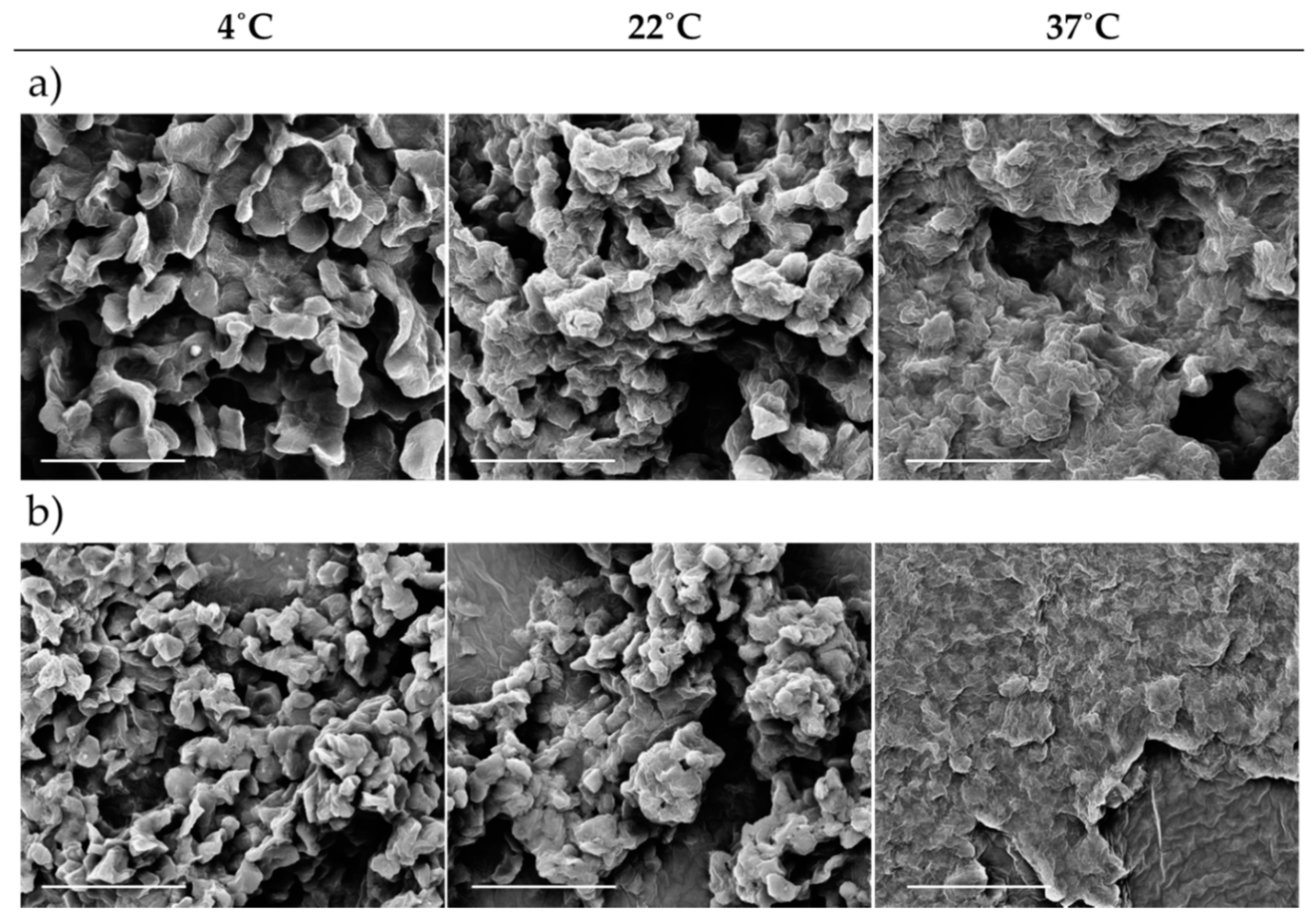 Nanomaterials 09 00380 g003