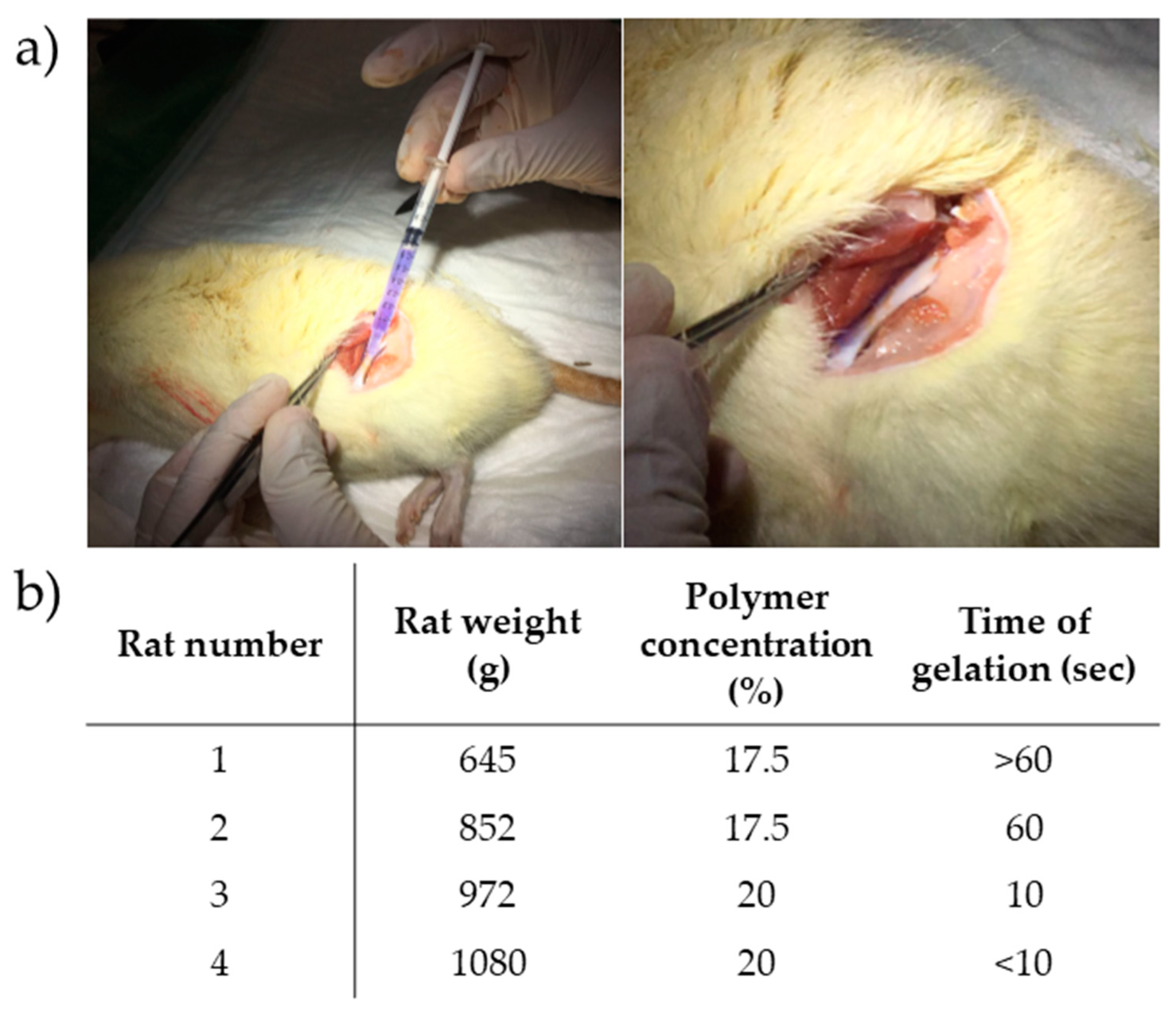 Nanomaterials 09 00380 g004