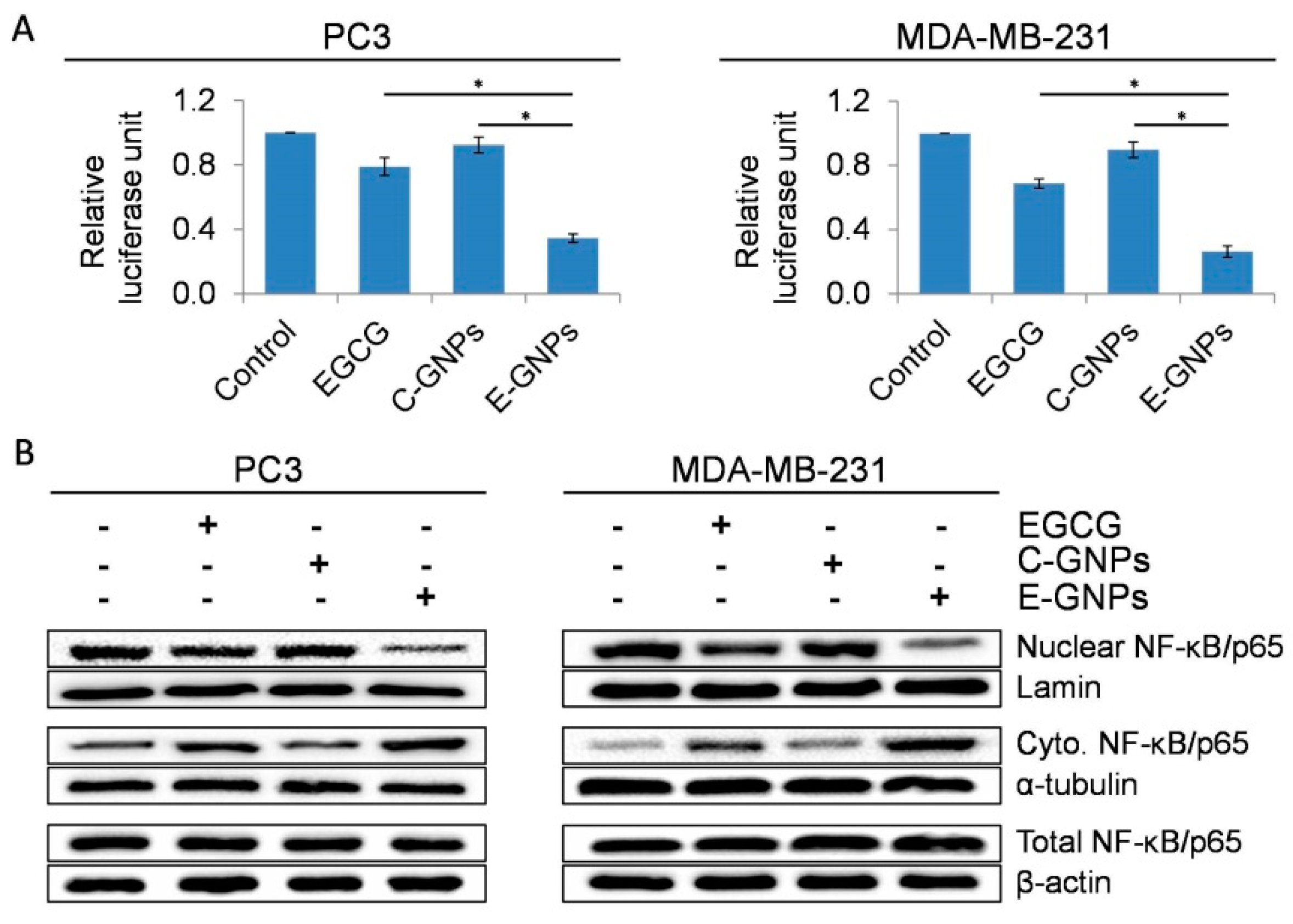 Nanomaterials 09 00396 g007