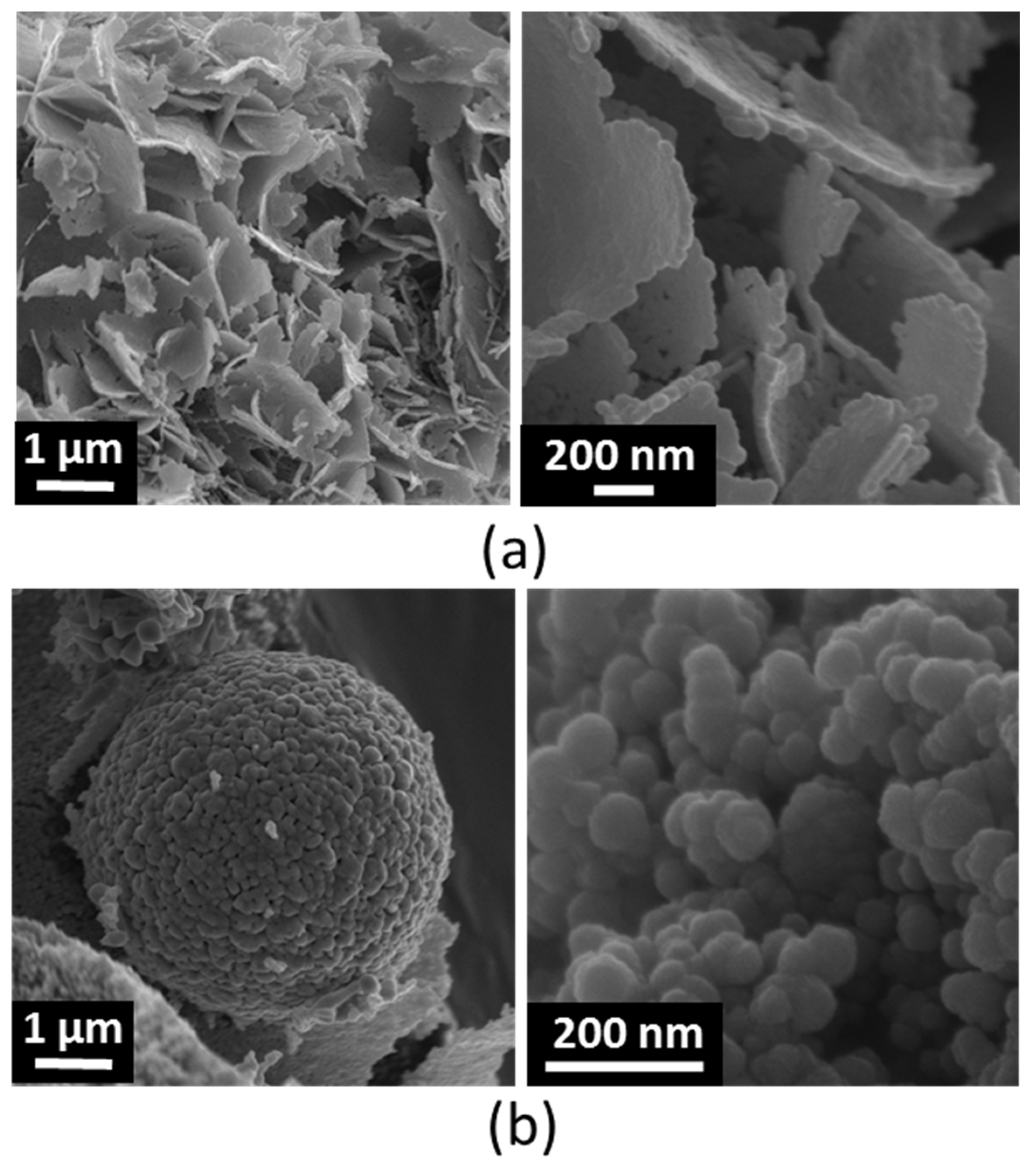 Nanomaterials 09 00407 g002