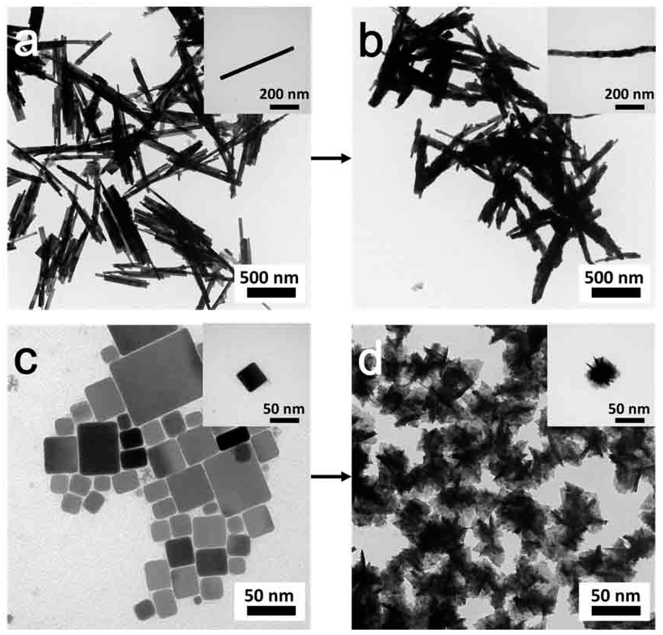 Nanomaterials 09 00409 g009