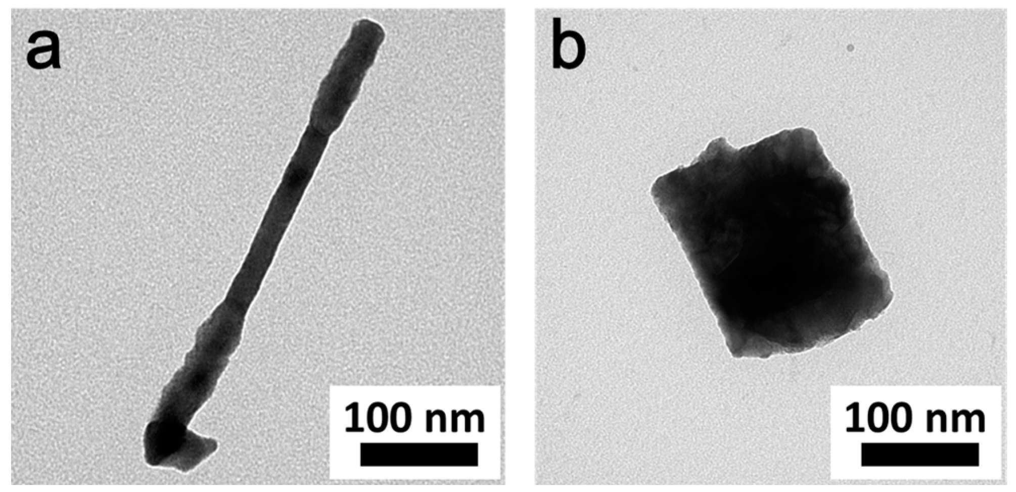Nanomaterials 09 00409 g010