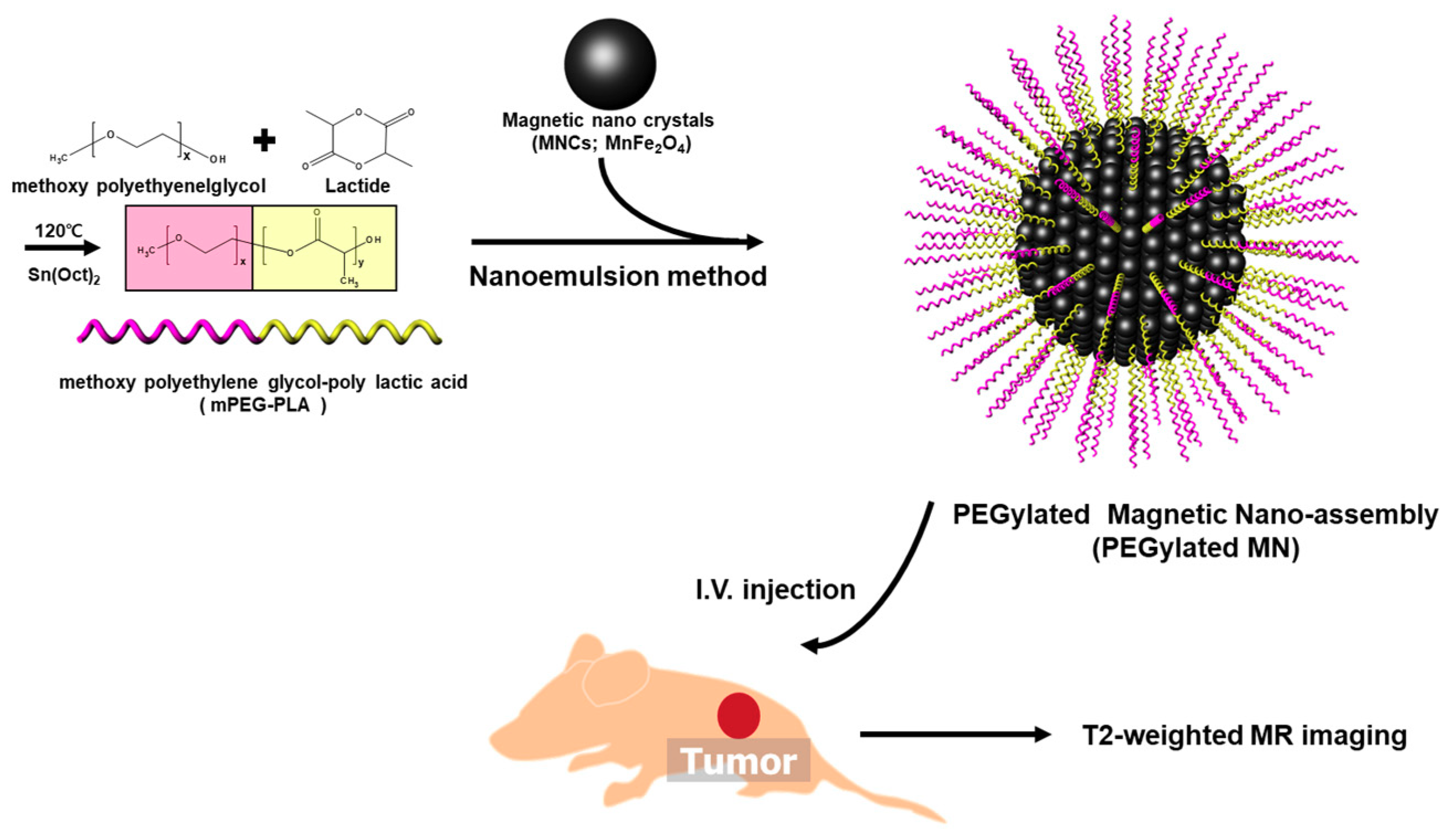 Nanomaterials 09 00410 g001