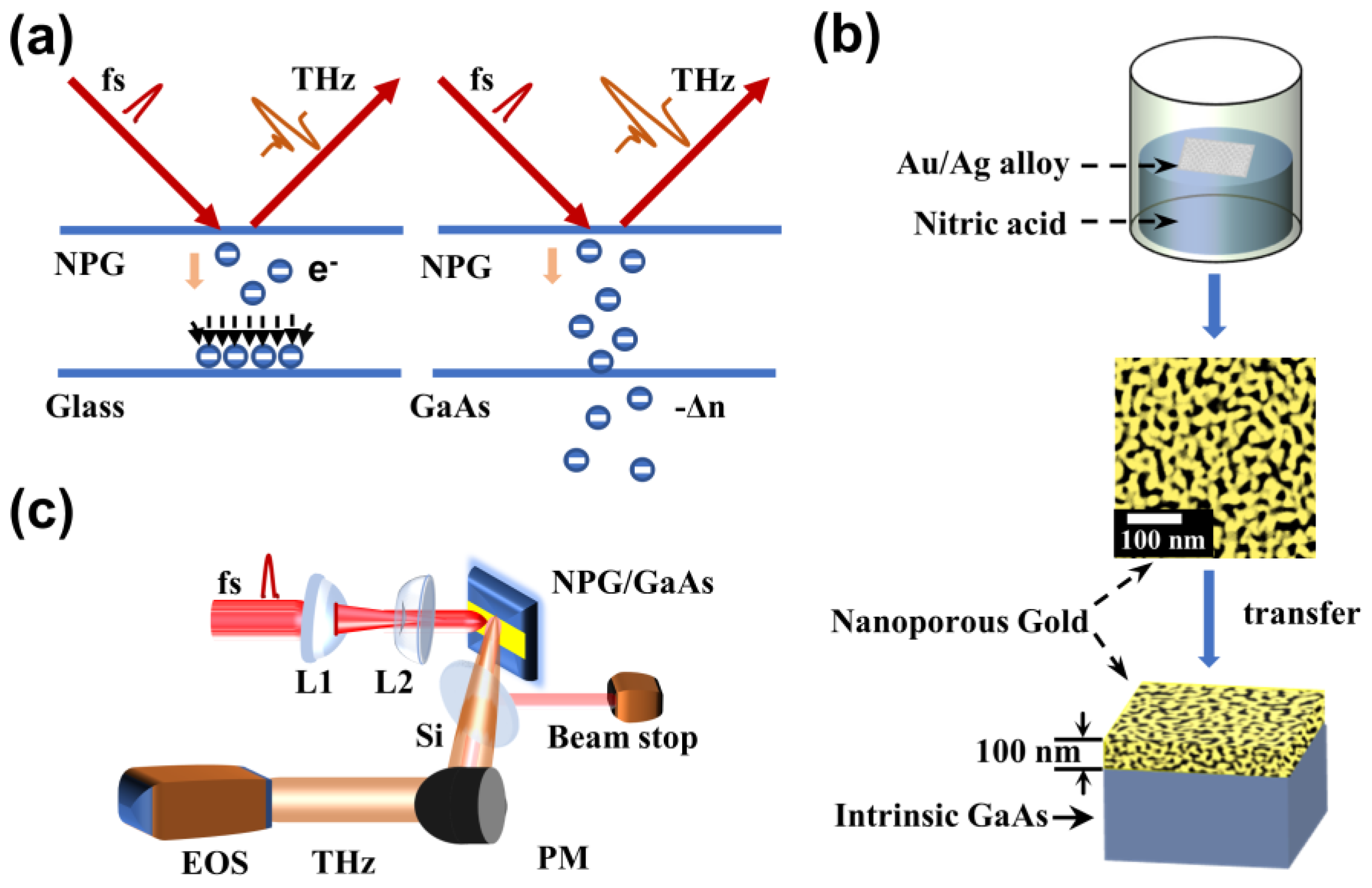 Nanomaterials 09 00419 g001
