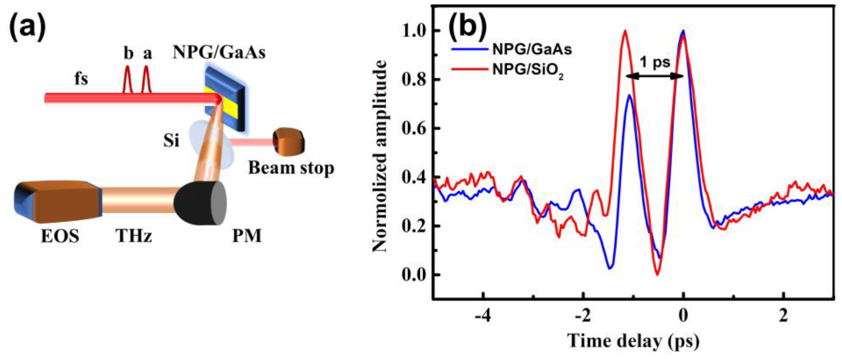 Nanomaterials 09 00419 g004