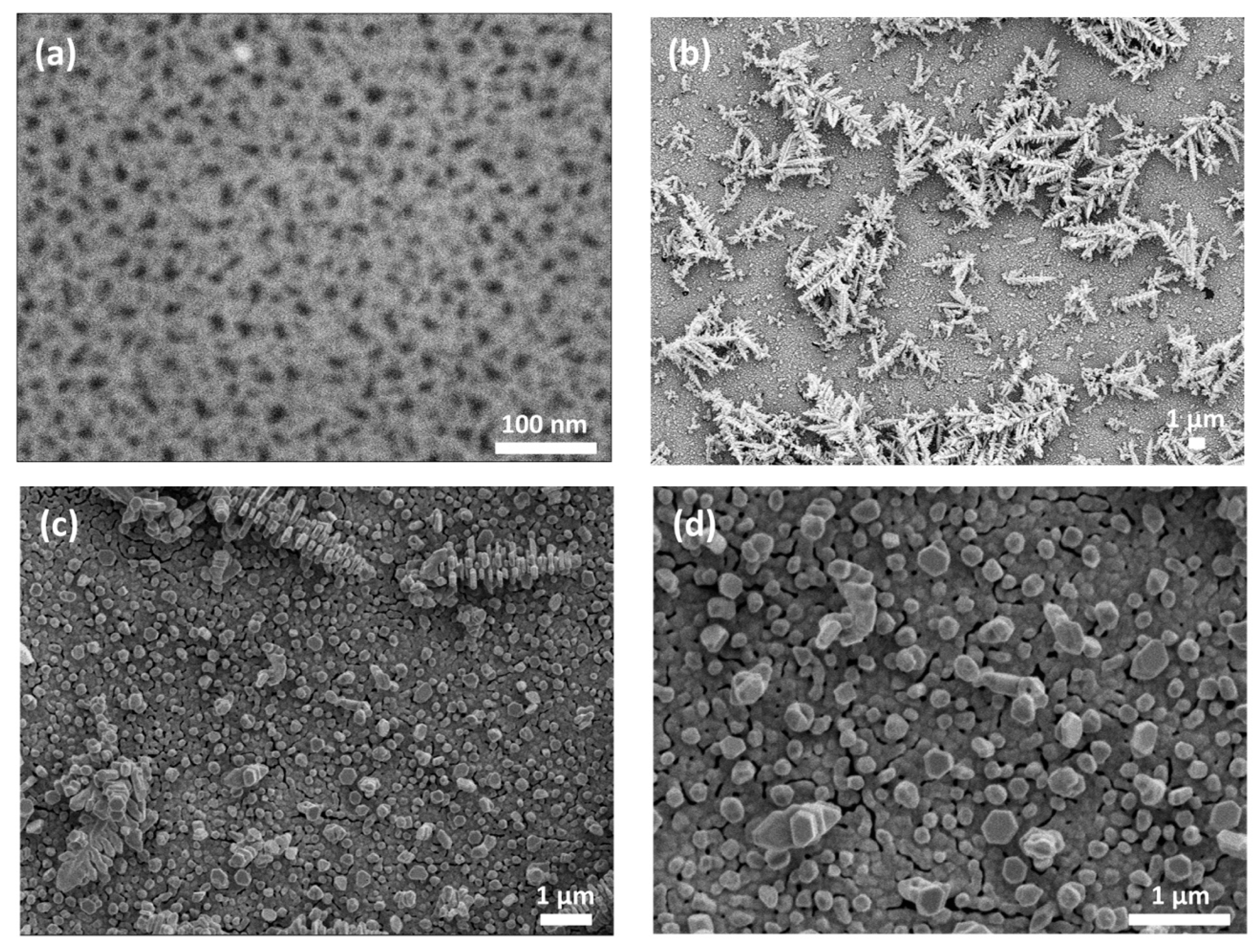 Nanomaterials 09 00421 g003 Nanomaterials 09 00421 g003