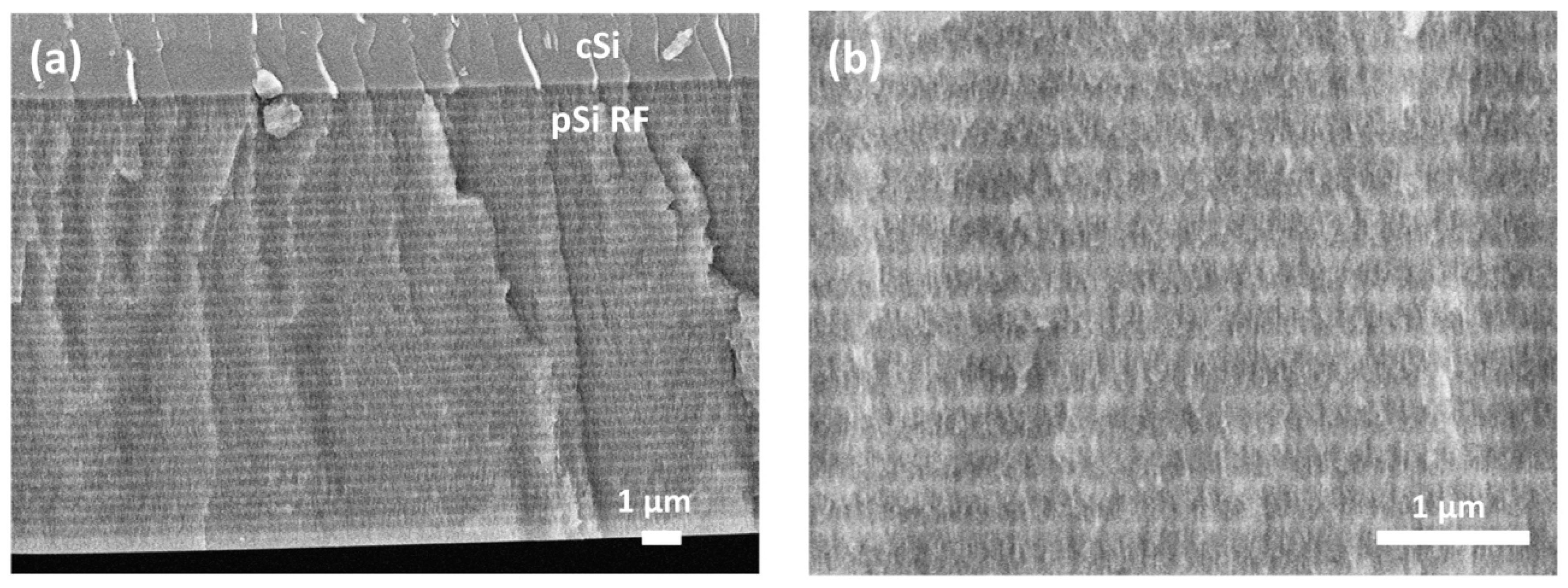 Nanomaterials 09 00421 g005 Nanomaterials 09 00421 g005