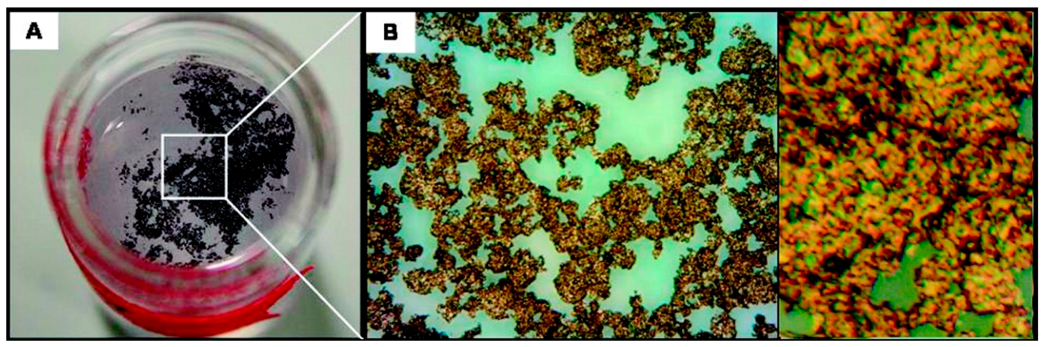 Nanomaterials 09 00424 g005 Nanomaterials 09 00424 g005