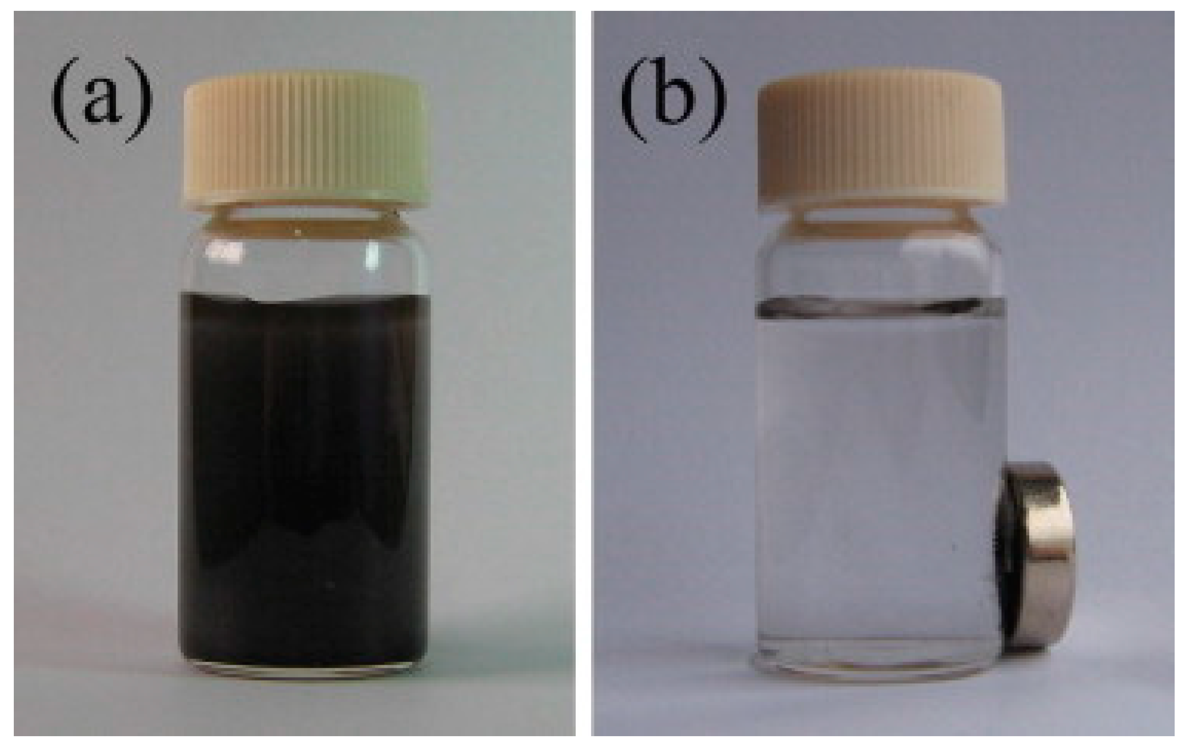 Nanomaterials 09 00424 g006 Nanomaterials 09 00424 g006