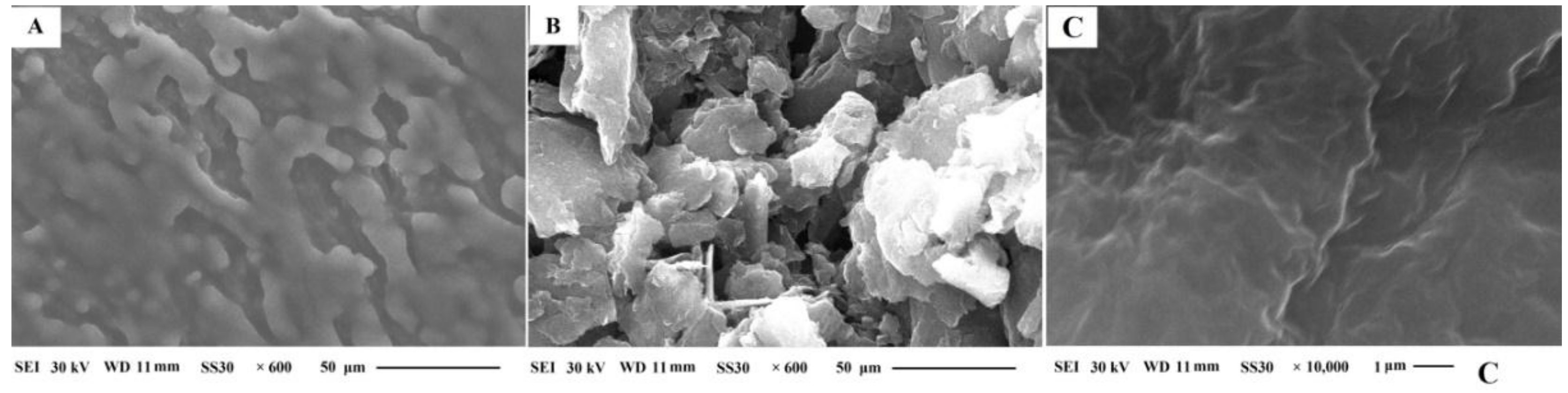 Nanomaterials 09 00429 g002