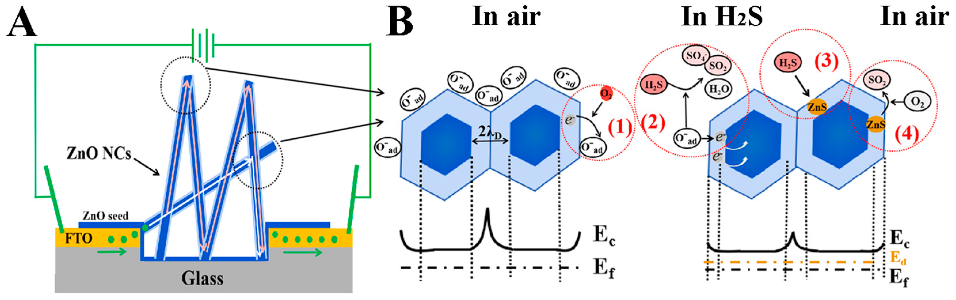 Nanomaterials 09 00435 g007