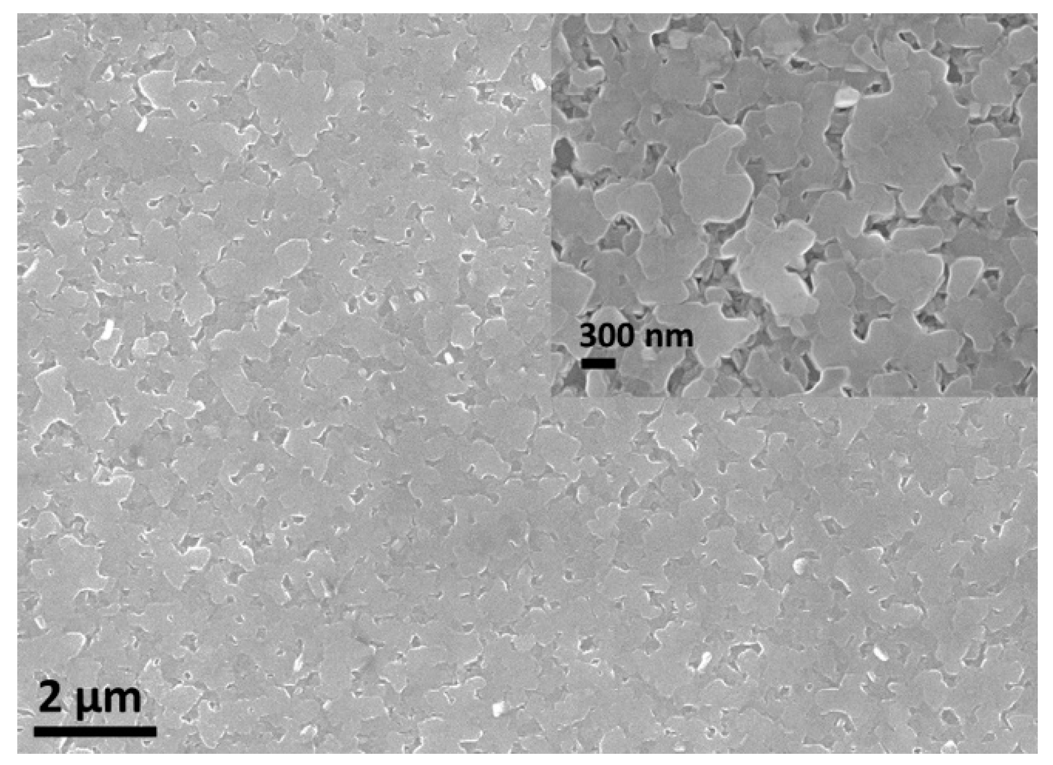Nanomaterials 09 00443 g003