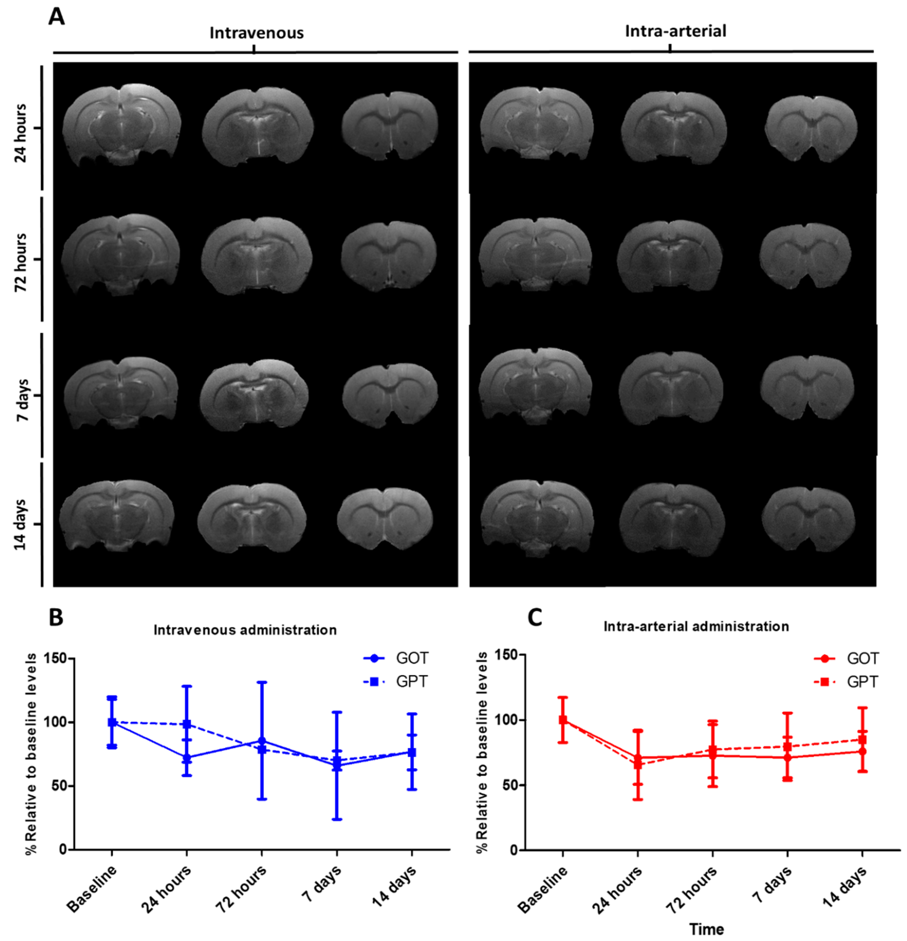 Nanomaterials 09 00449 g014
