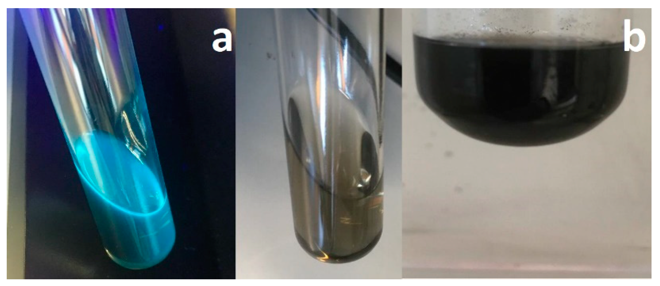 Nanomaterials 09 00458 g005