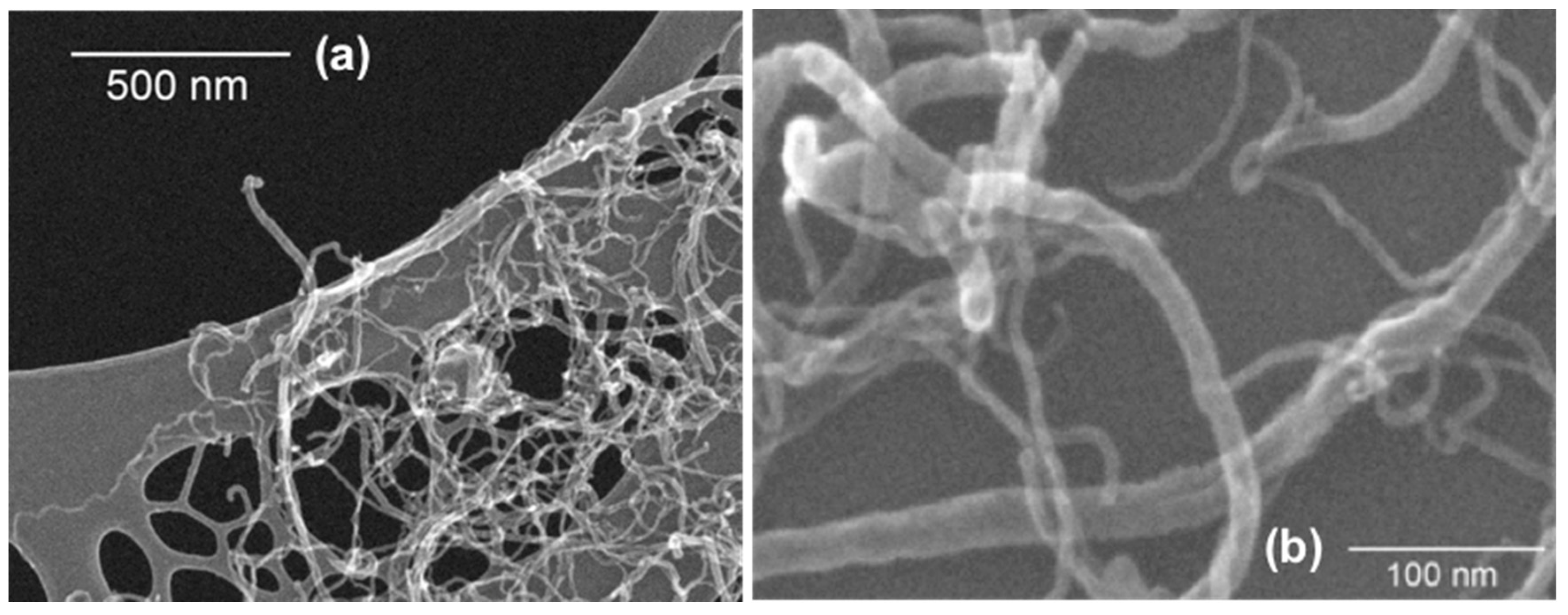 Nanomaterials 09 00458 g007