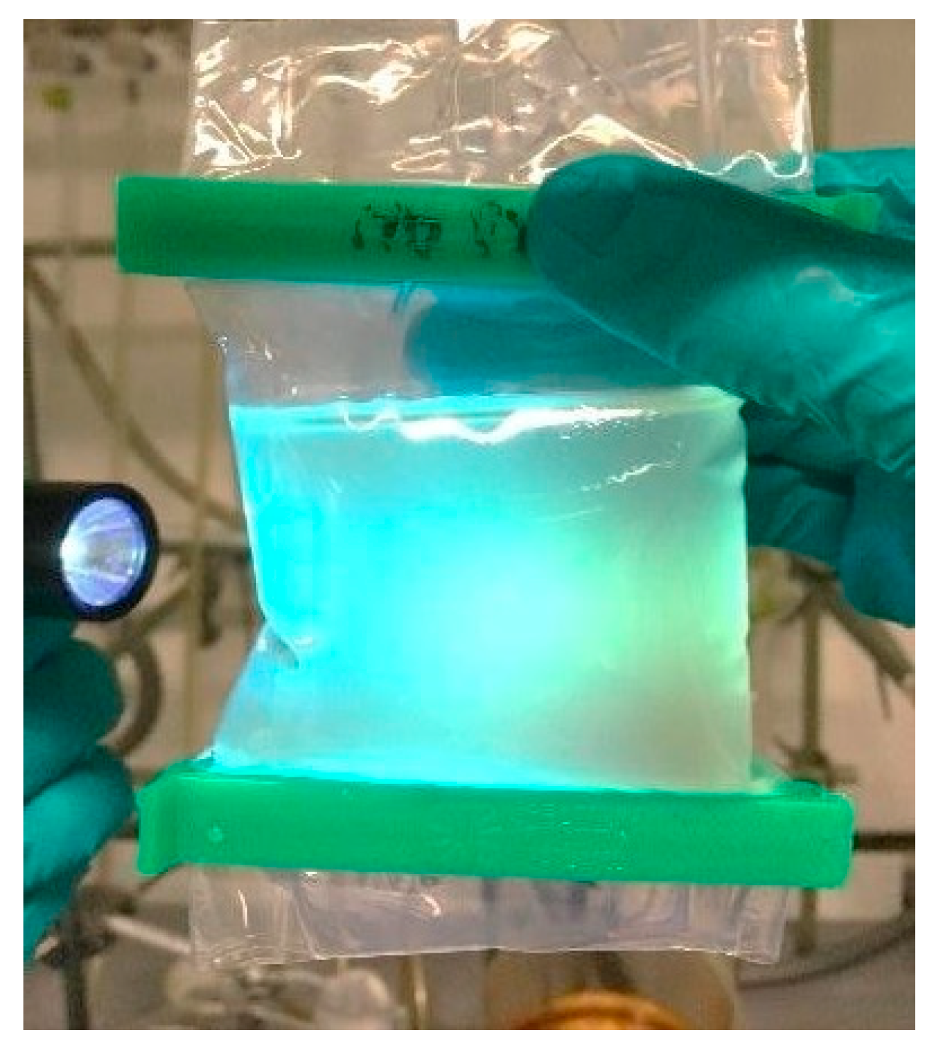 Nanomaterials 09 00458 g011