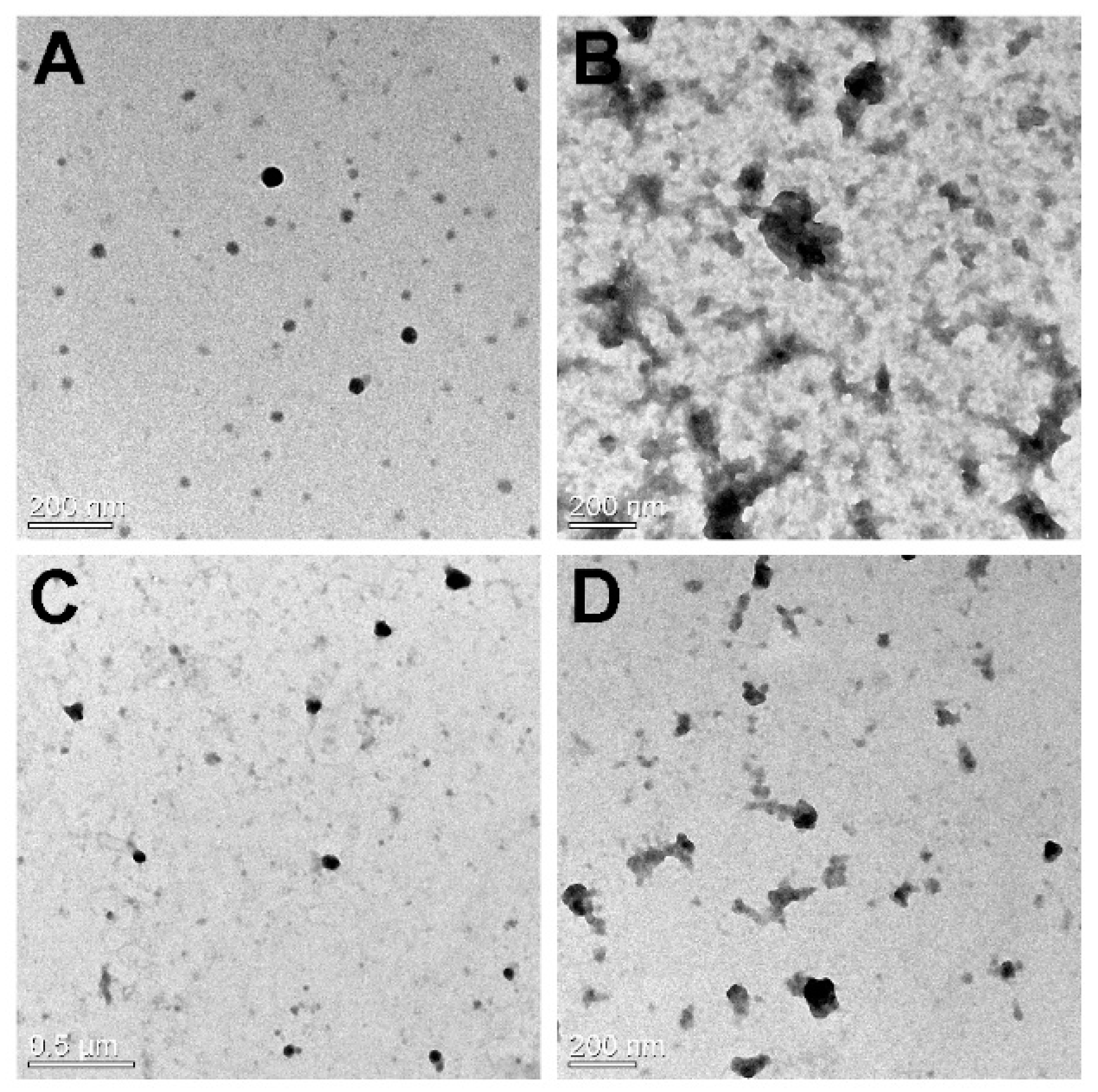 Nanomaterials 09 00459 g003