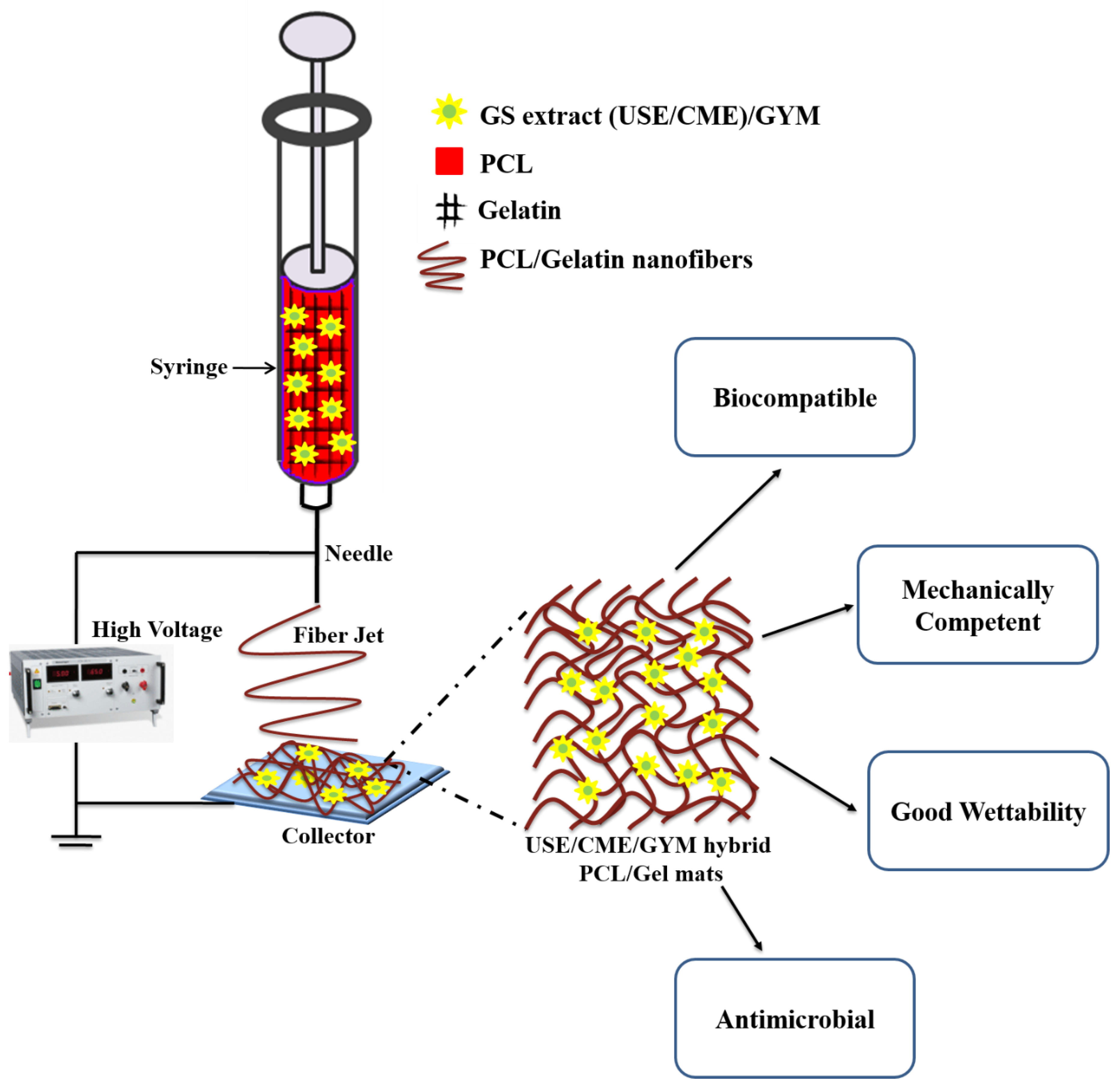 Nanomaterials 09 00462 sch001