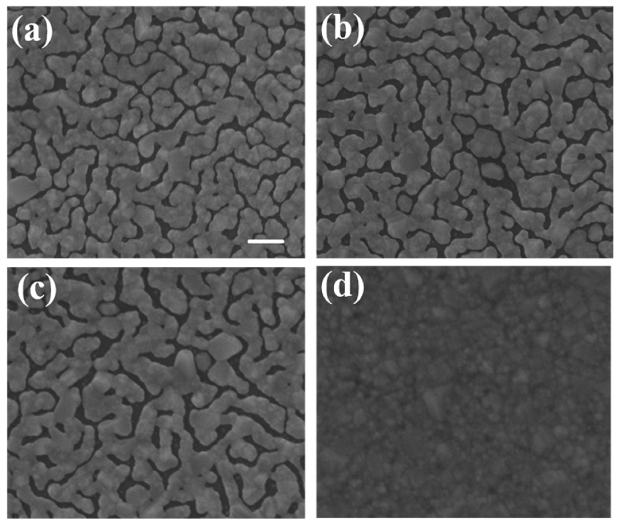 Nanomaterials 09 00470 g001