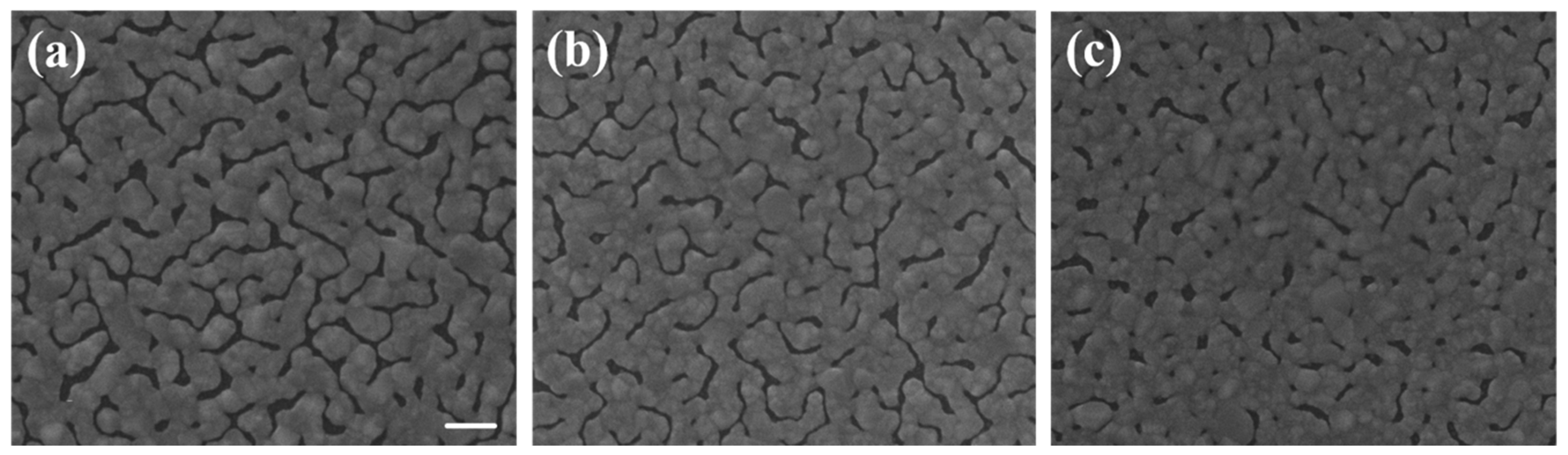 Nanomaterials 09 00470 g003