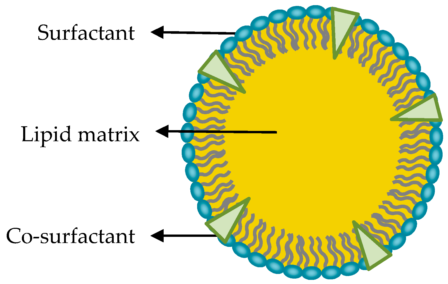 Nanomaterials 09 00474 g001