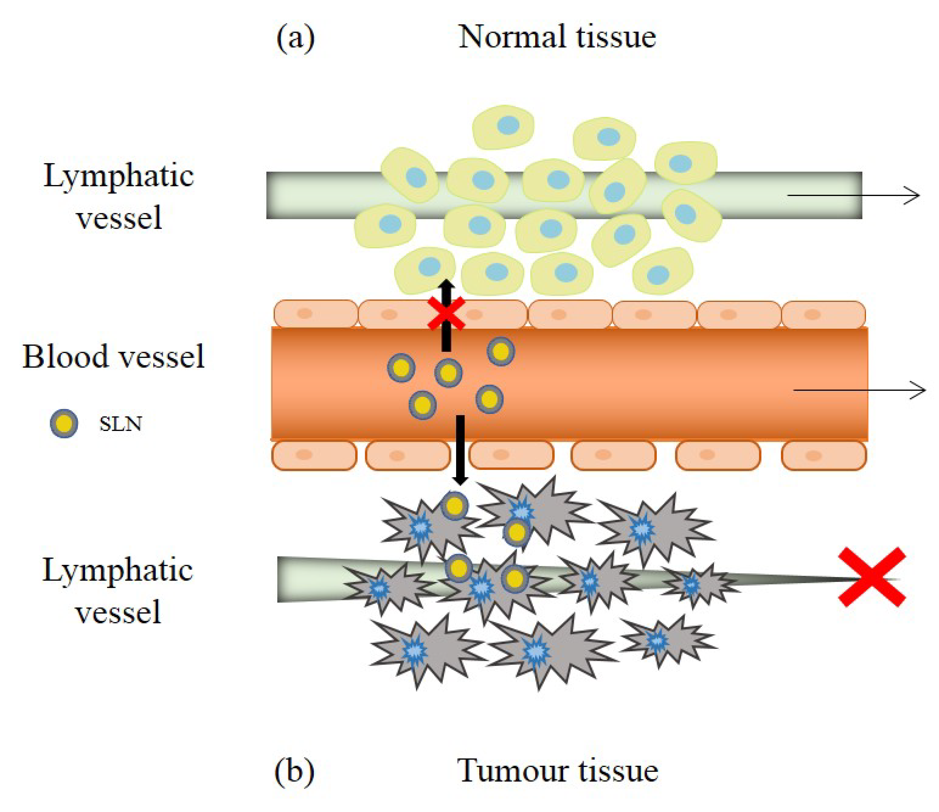 Nanomaterials 09 00474 g005