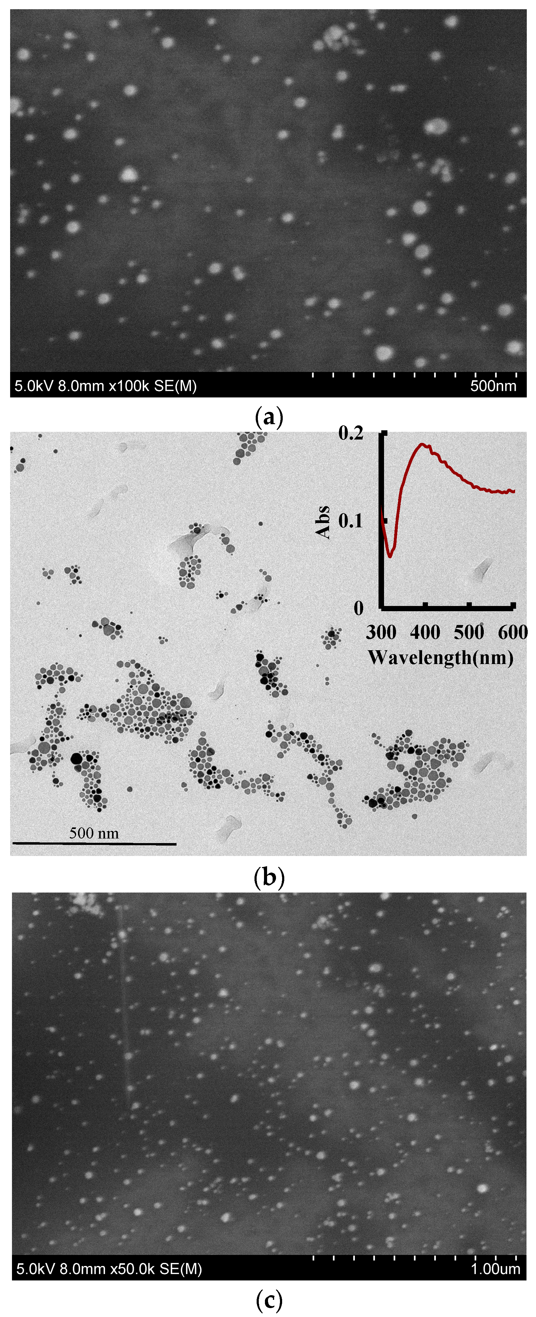 Nanomaterials 09 00480 g003a Nanomaterials 09 00480 g003a