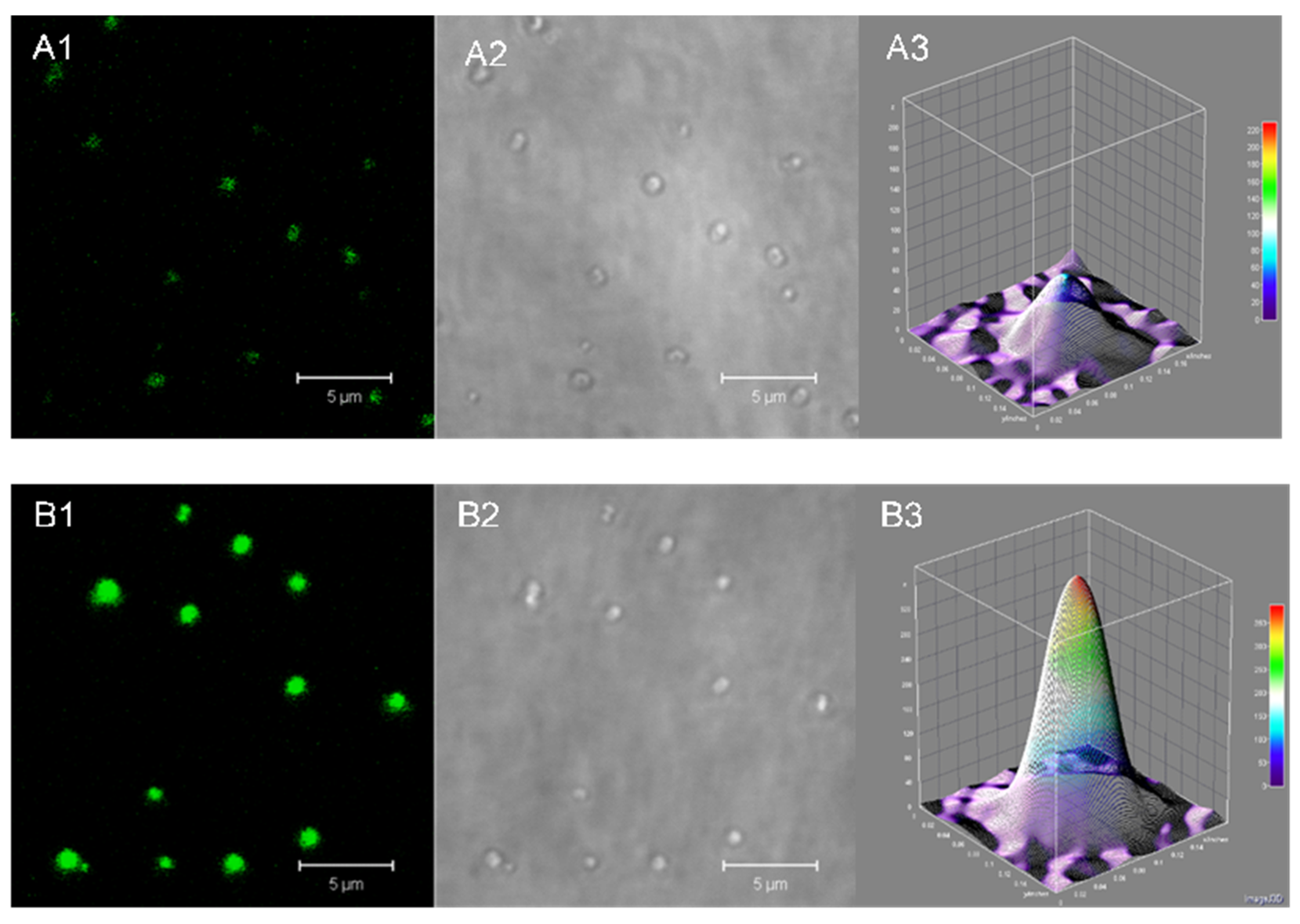 Nanomaterials 09 00482 g003