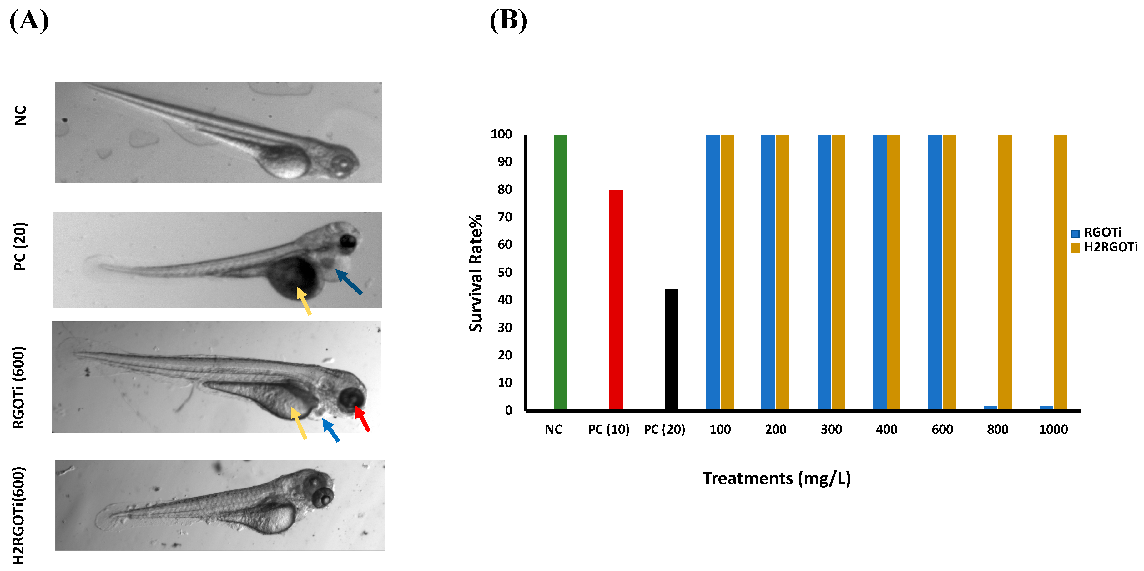 Nanomaterials 09 00488 g001 Nanomaterials 09 00488 g001
