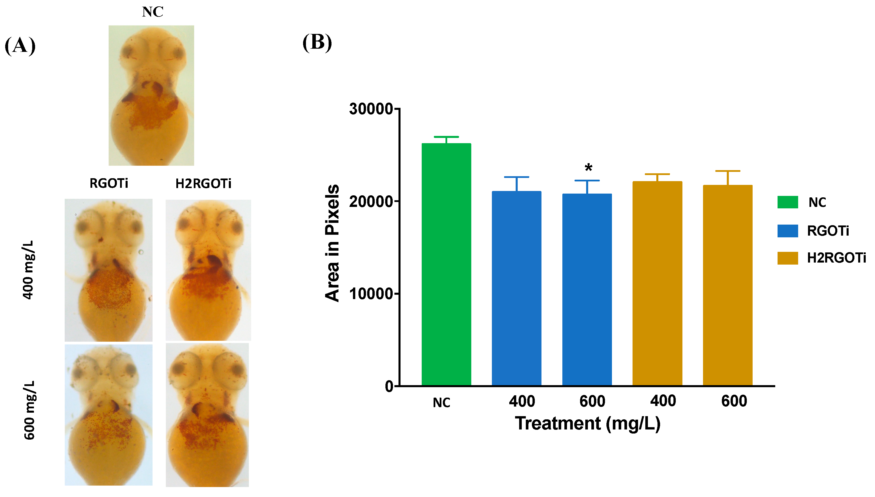 Nanomaterials 09 00488 g005 Nanomaterials 09 00488 g005