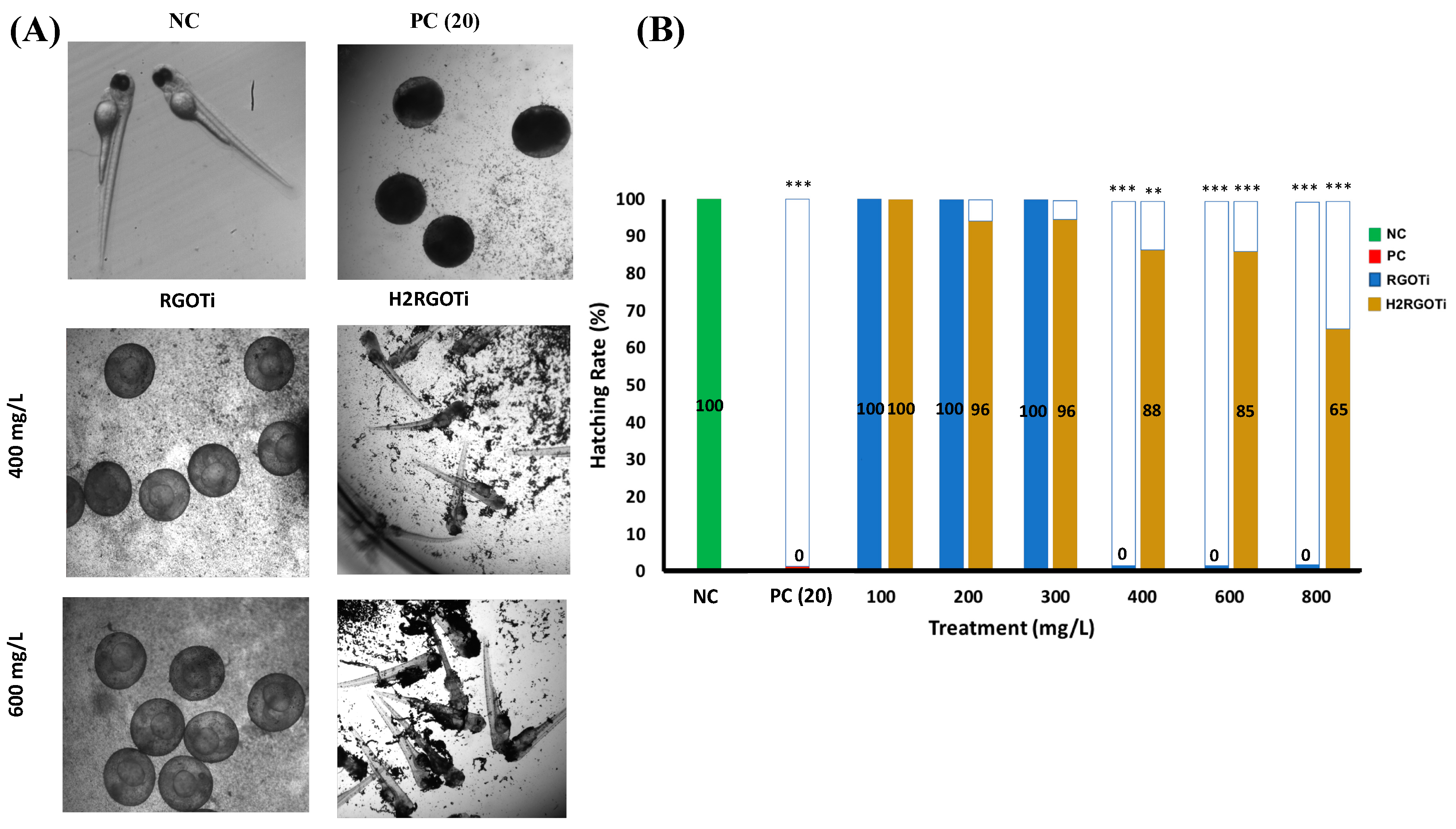 Nanomaterials 09 00488 g006 Nanomaterials 09 00488 g006