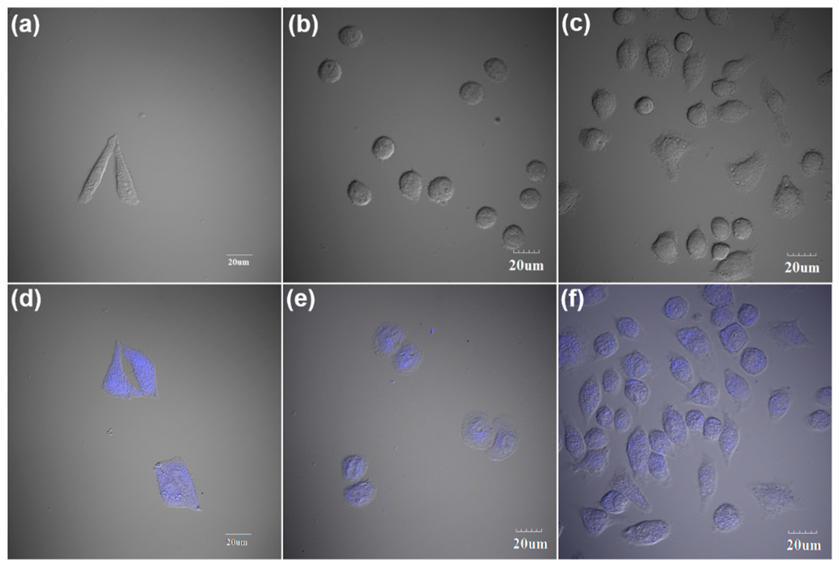 Nanomaterials 09 00495 g006 Nanomaterials 09 00495 g006