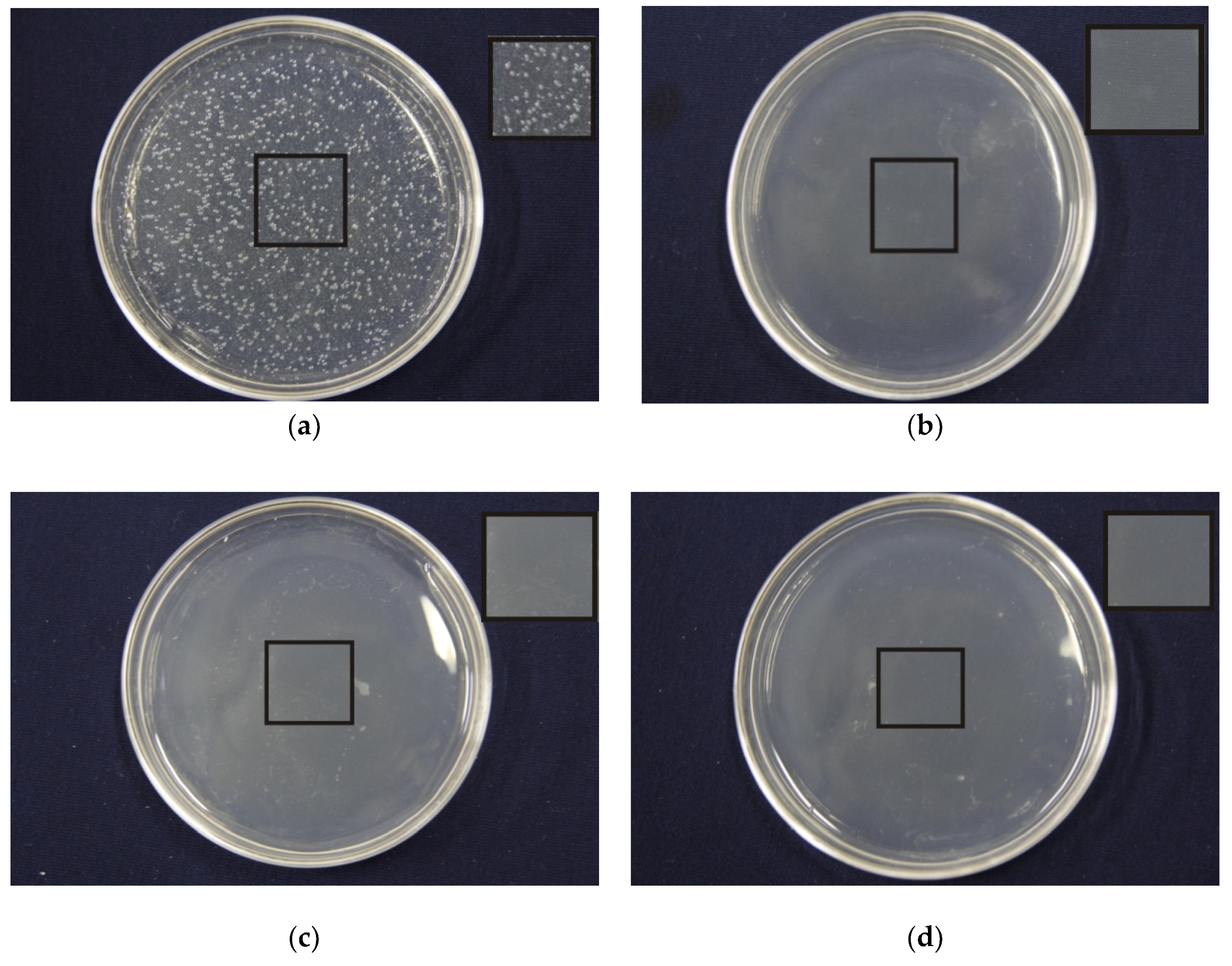 Nanomaterials 09 00508 g007a Nanomaterials 09 00508 g007a
