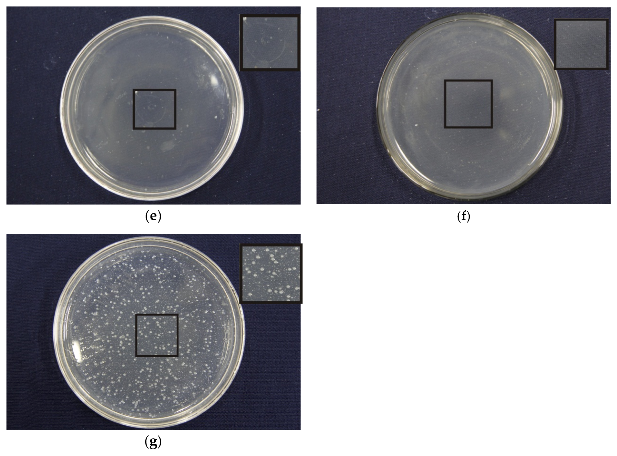 Nanomaterials 09 00508 g007b Nanomaterials 09 00508 g007b