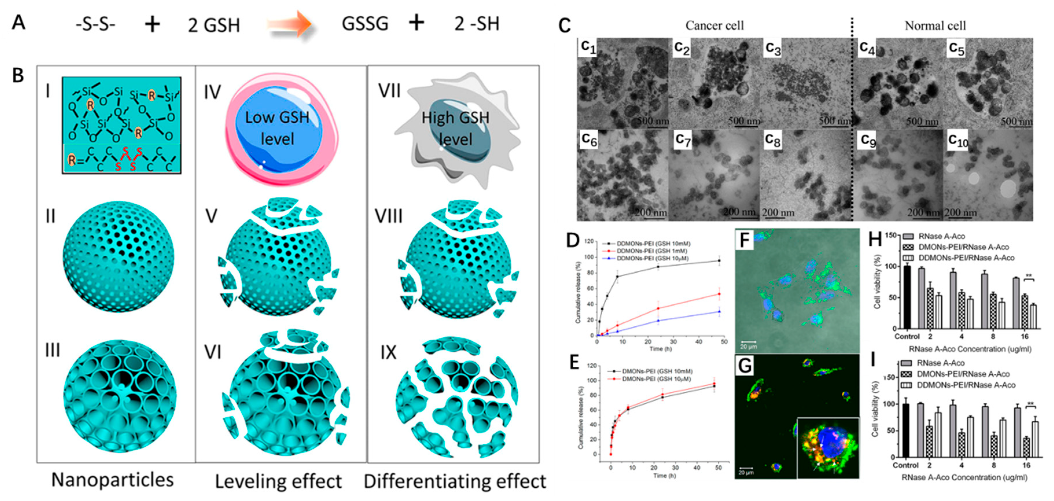 Nanomaterials 09 00511 g004