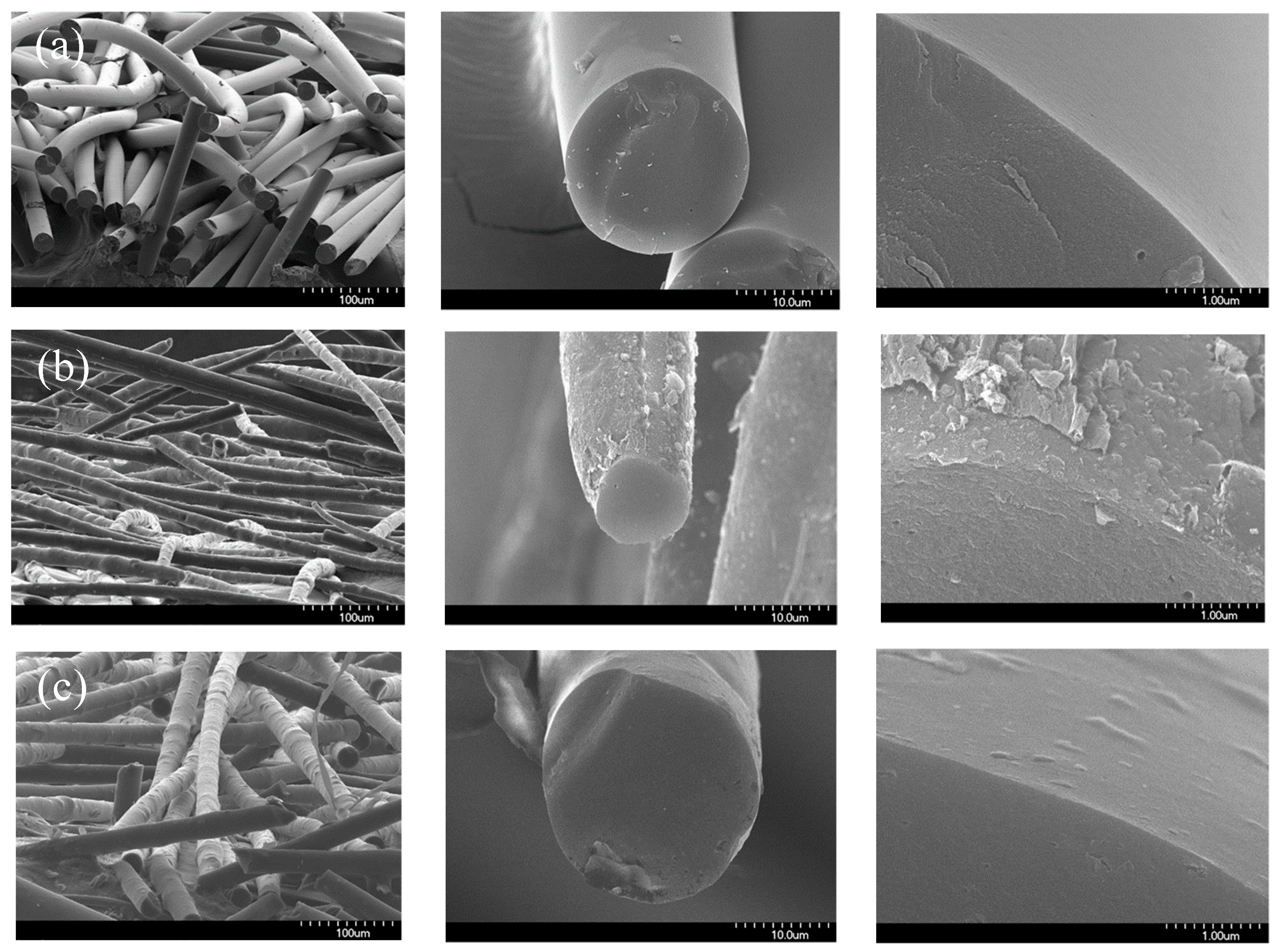Nanomaterials 09 00521 g010