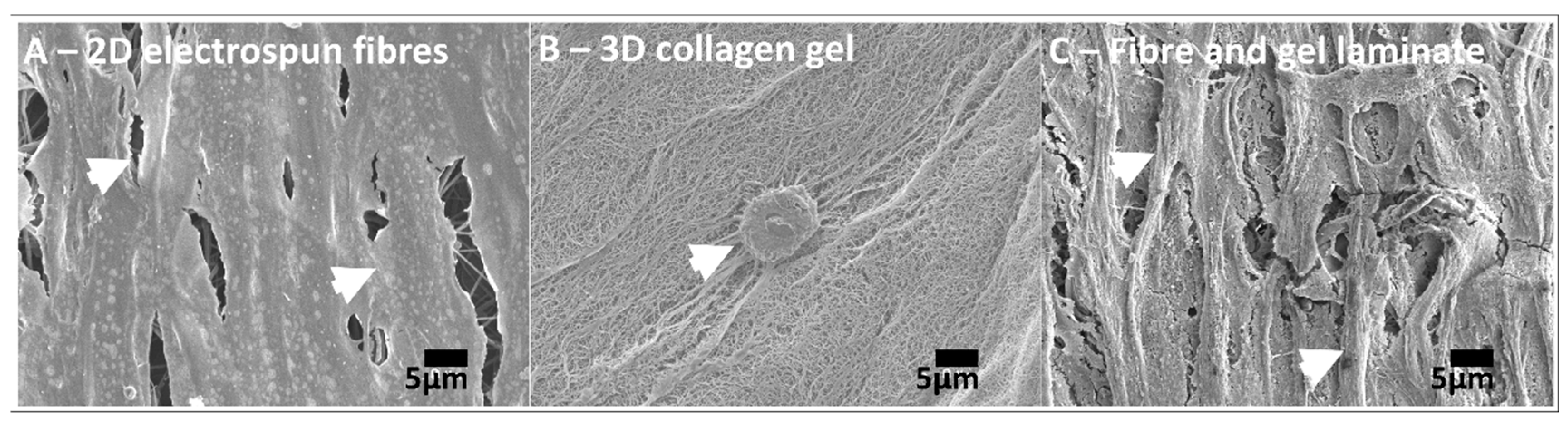 Nanomaterials 09 00522 g001 Nanomaterials 09 00522 g001