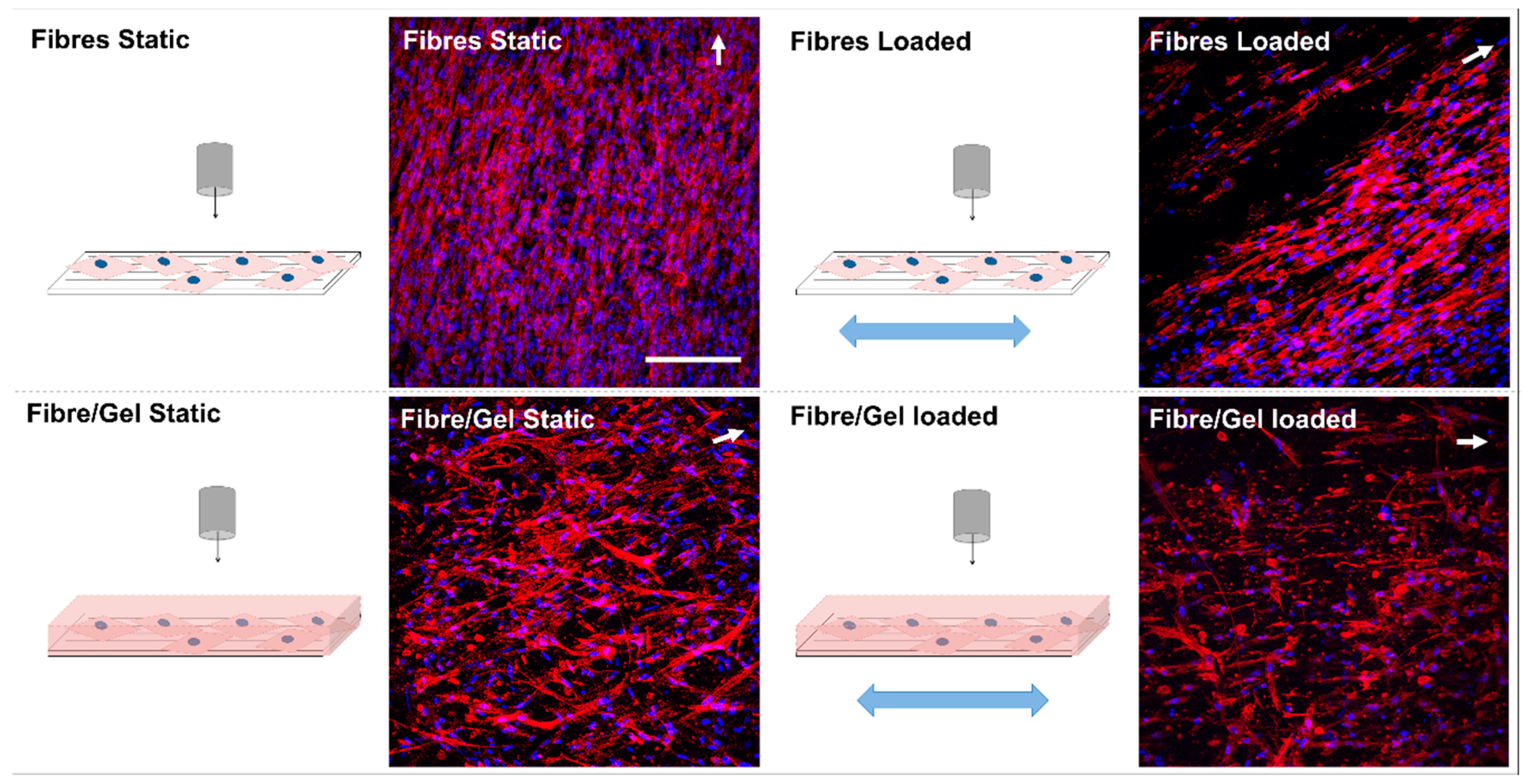 Nanomaterials 09 00522 g004 Nanomaterials 09 00522 g004