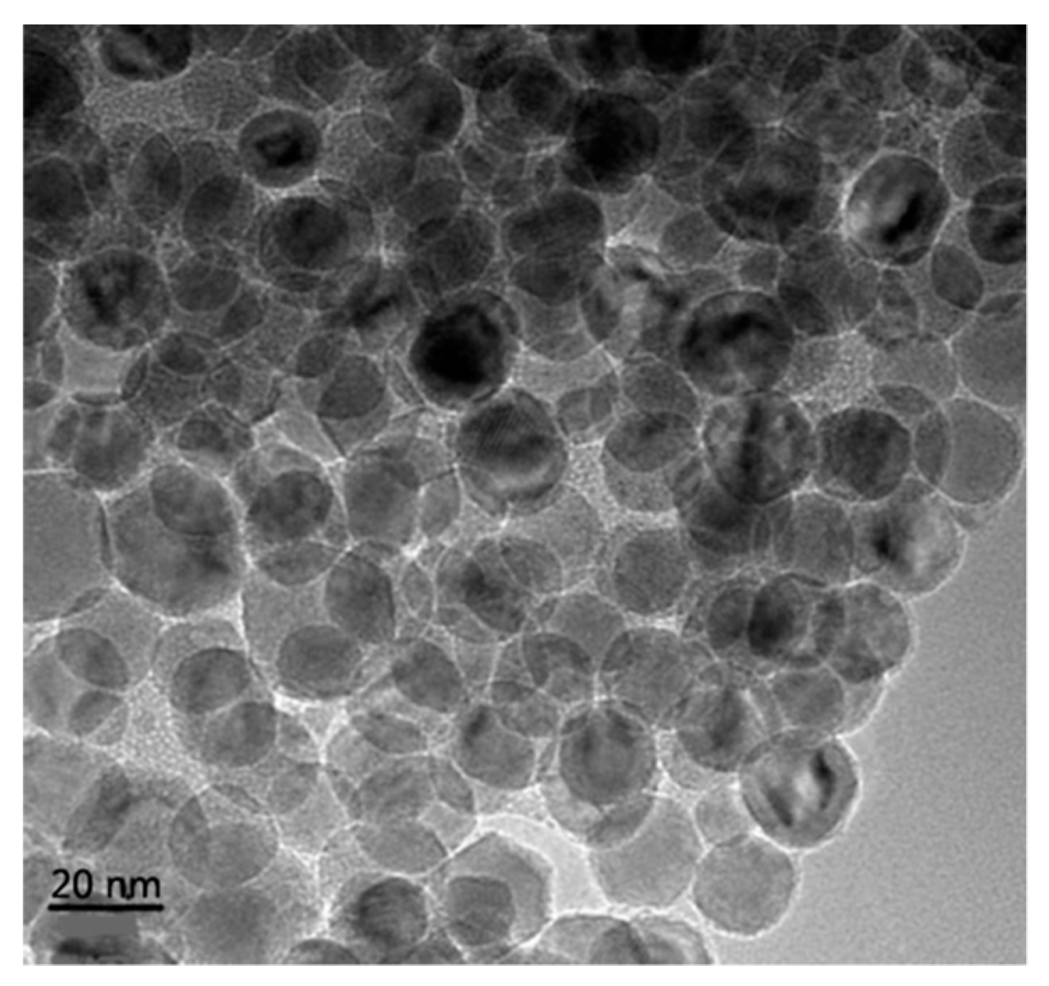 Nanomaterials 09 00524 g001 Nanomaterials 09 00524 g001