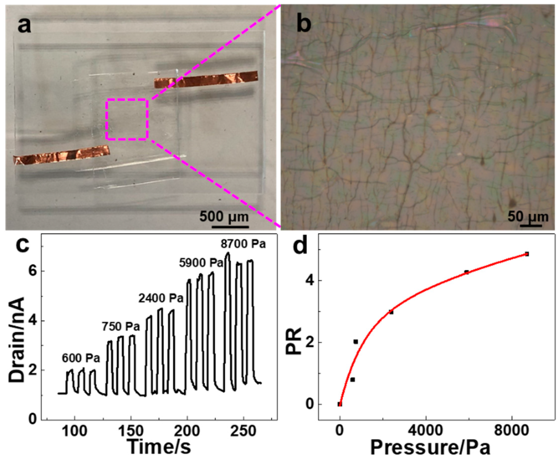 Nanomaterials 09 00548 g004