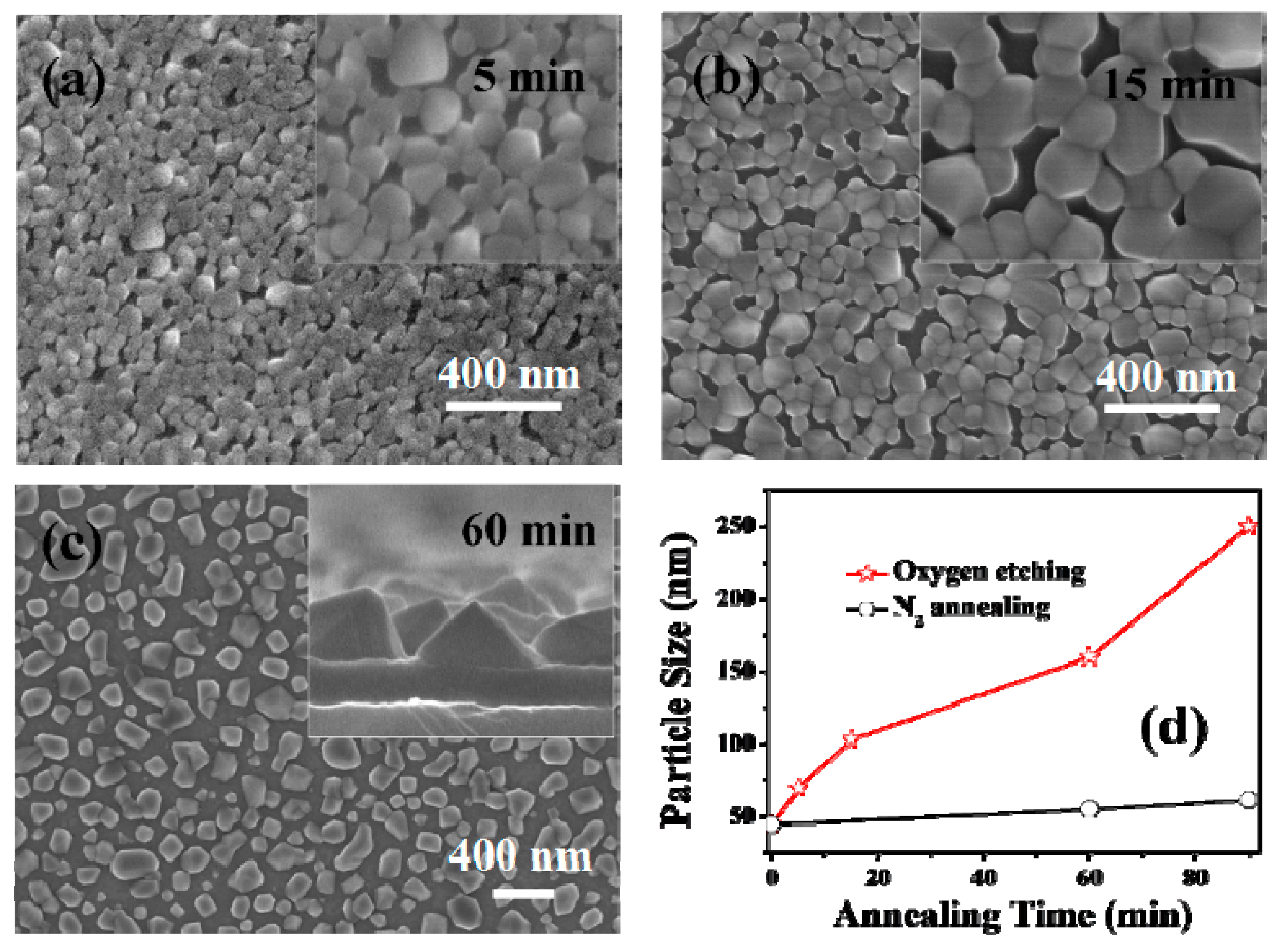 Nanomaterials 09 00549 g004