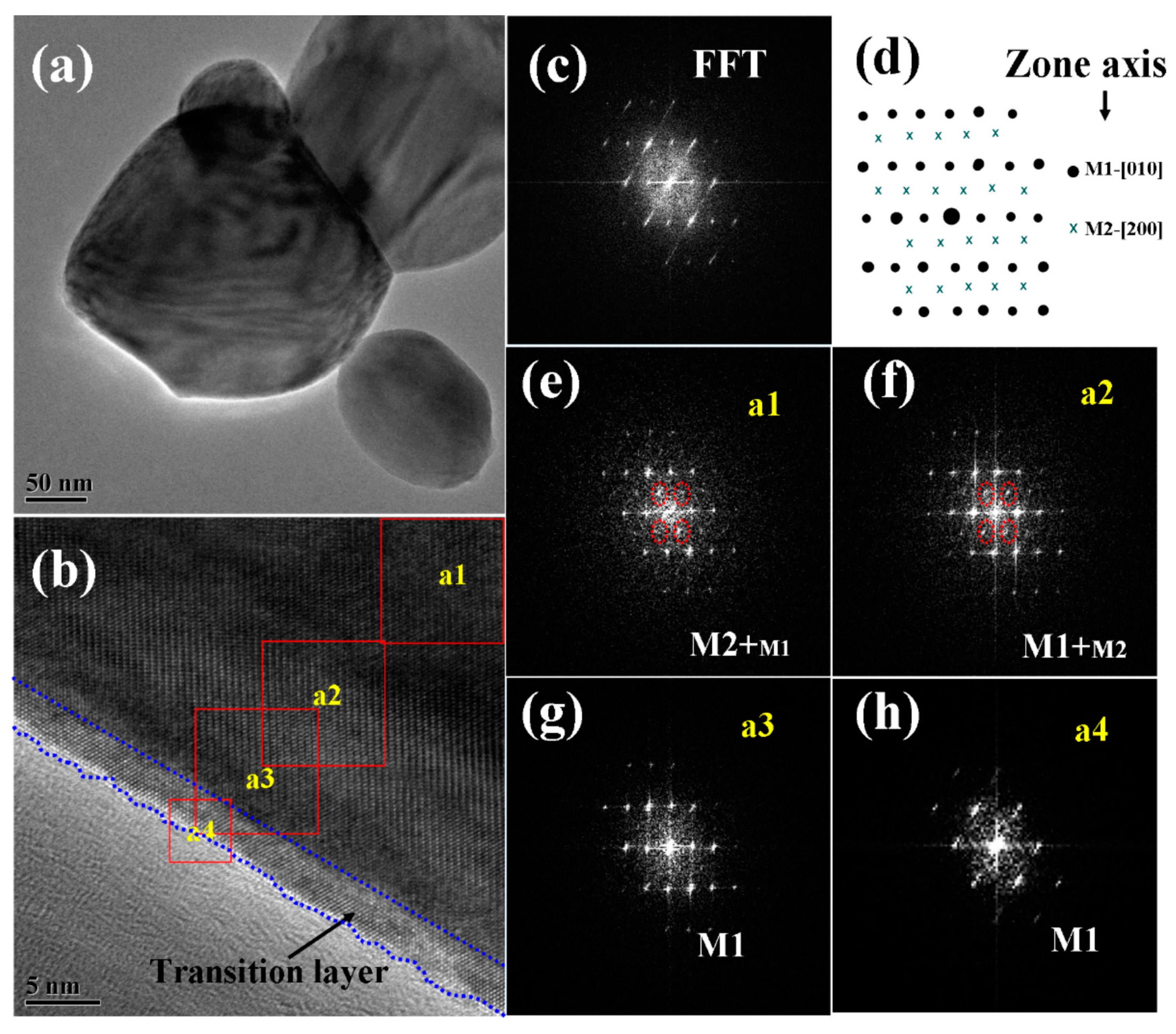 Nanomaterials 09 00549 g005